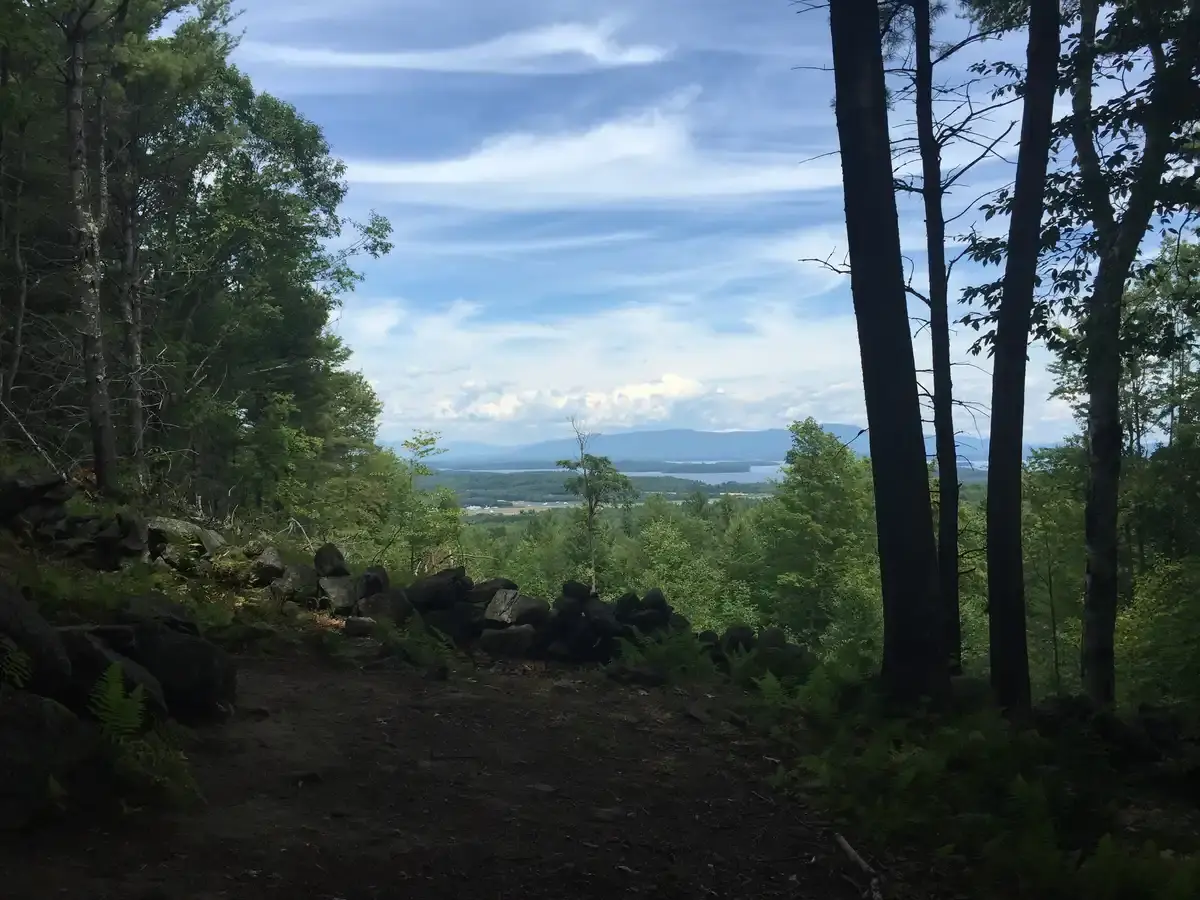 Forest path overlooking a large lake and distant mountains under a cloudy sky.