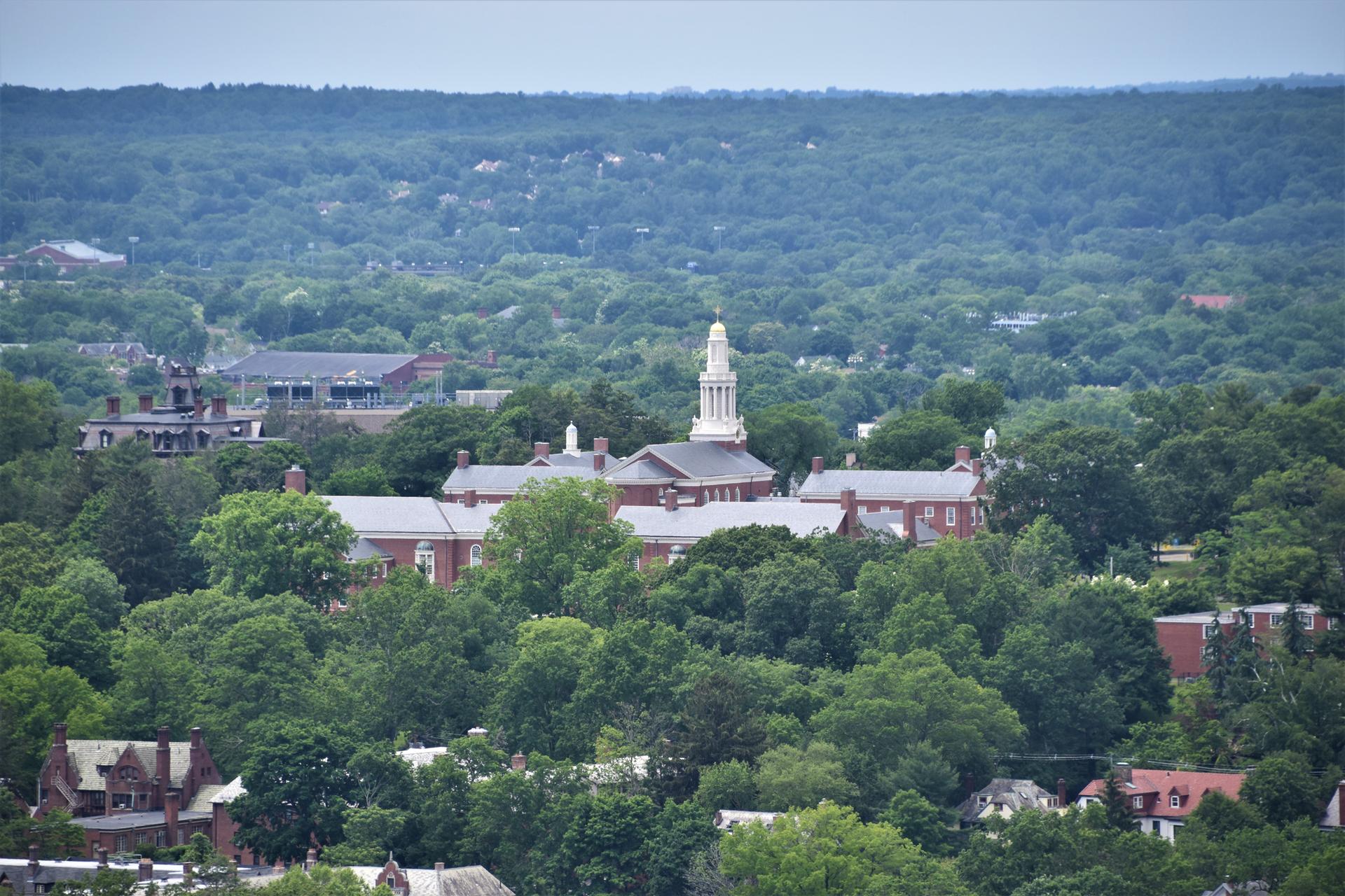 Buildings with a white steeple nestled among dense green trees under an overcast sky.