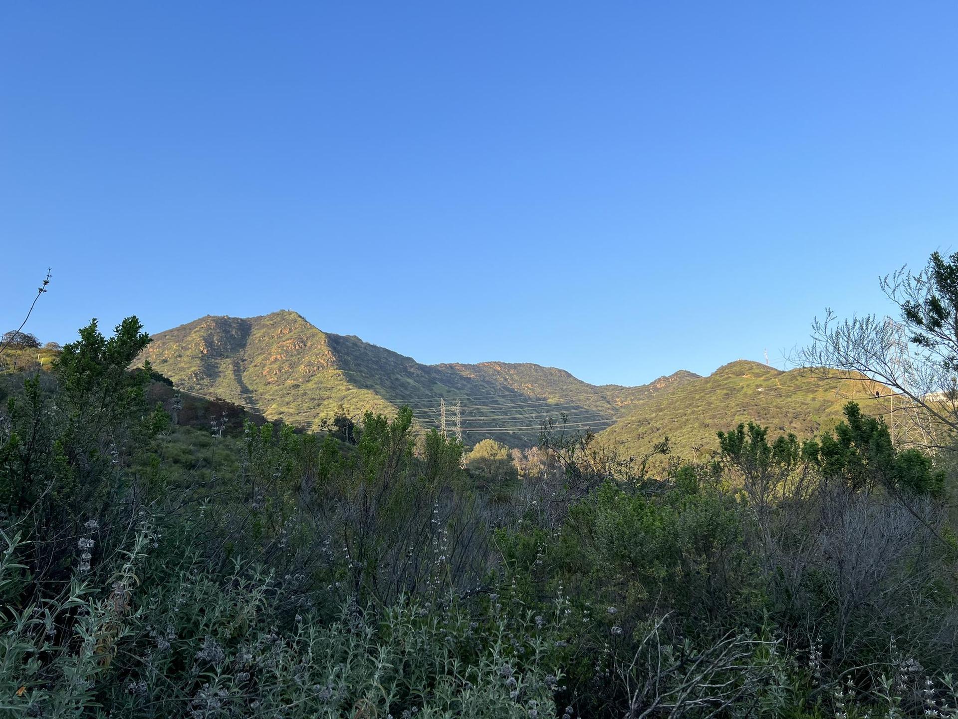Green and brown hills under a clear blue sky, with distant power lines.