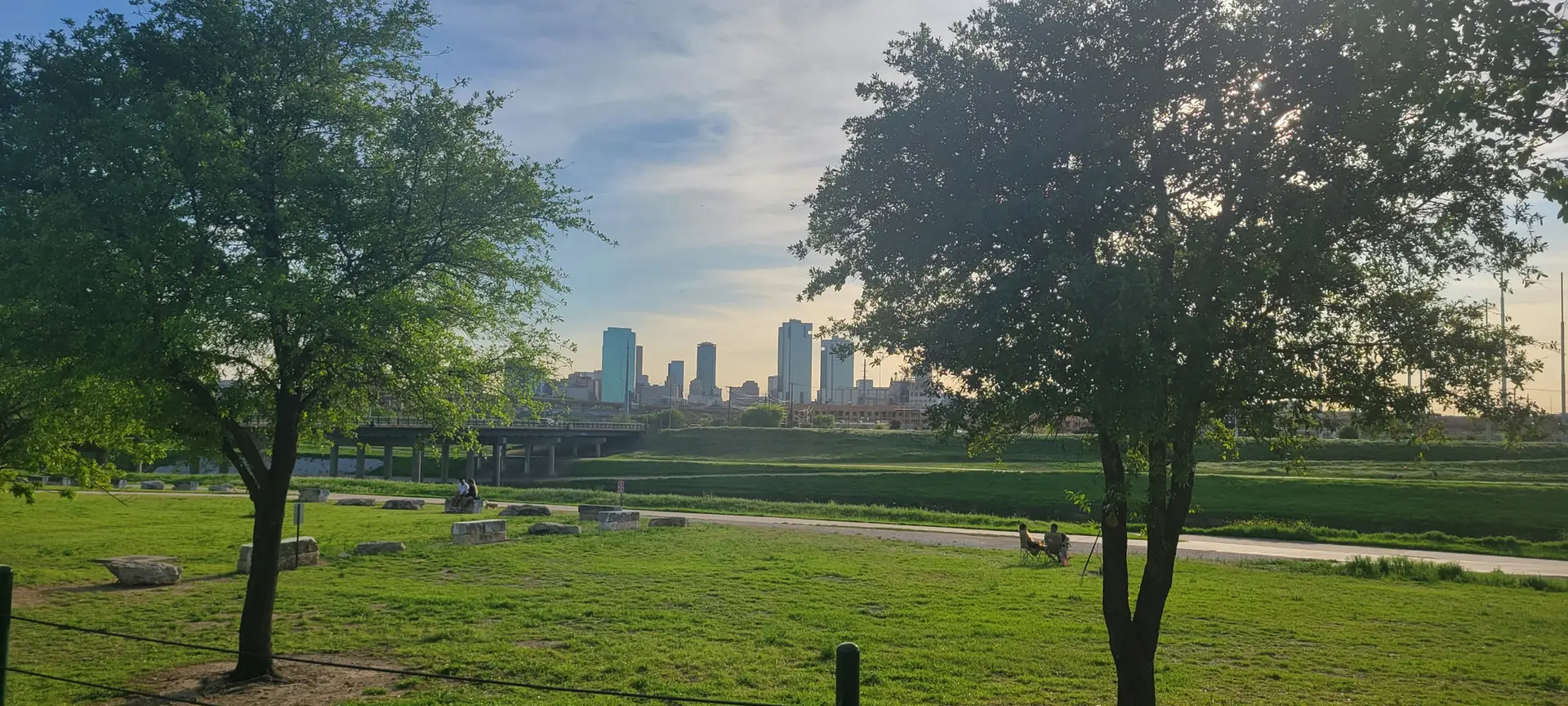 City skyline visible through two trees in a sunny, grassy park.