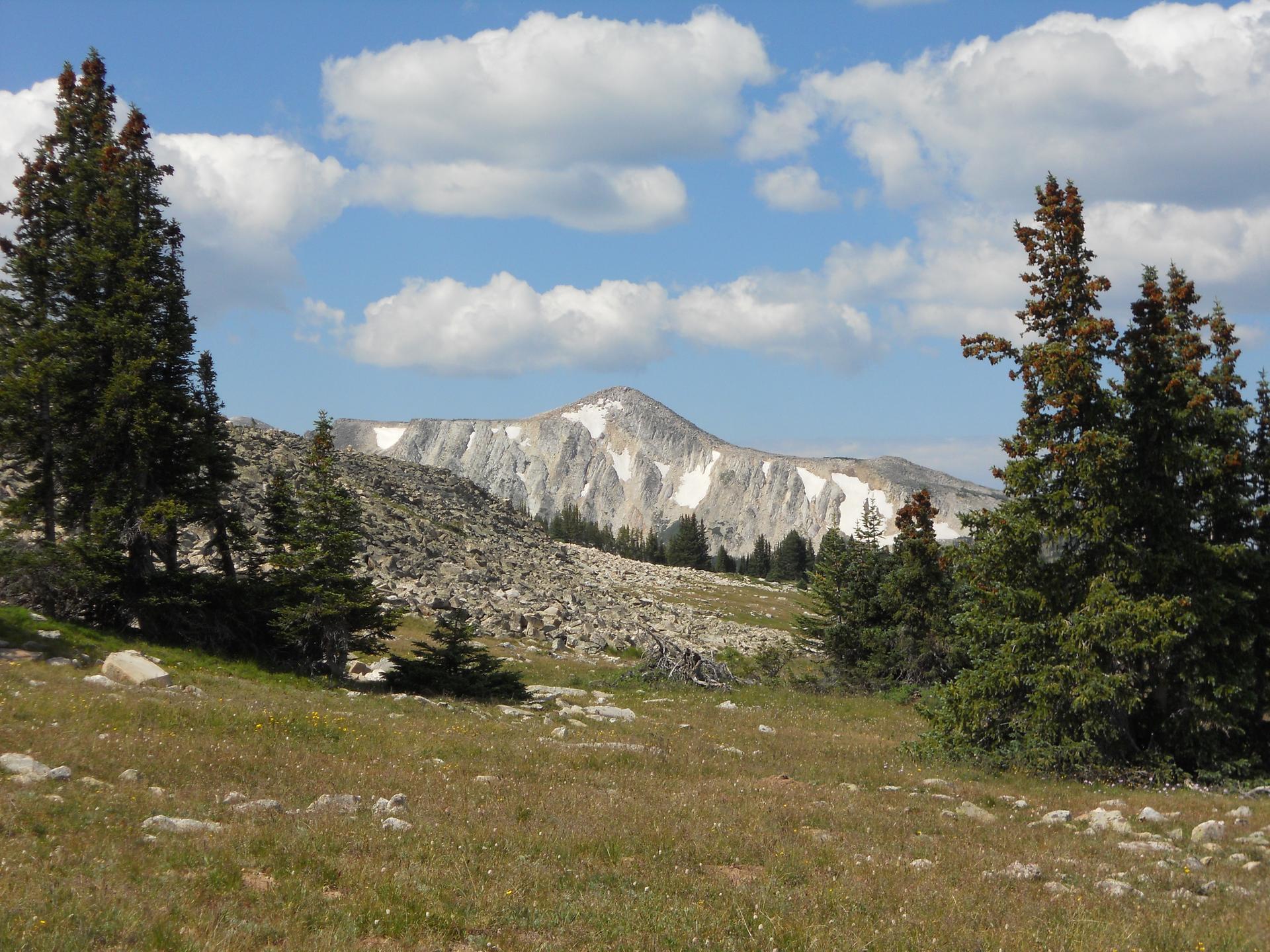 Sunny mountain landscape with a snow-capped peak, evergreen trees, and rocky slopes.