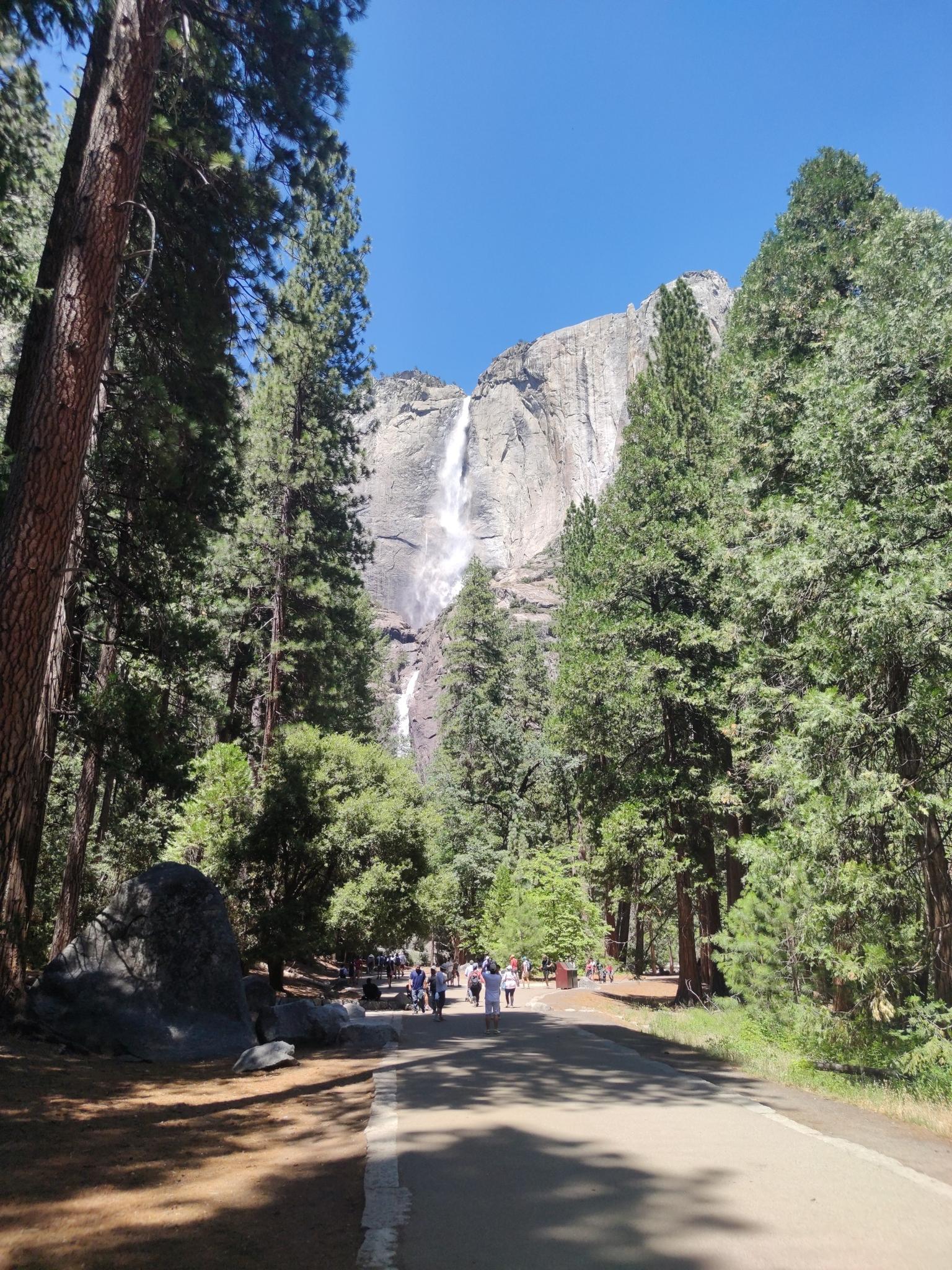 Tall waterfall cascading down a rocky cliff, seen through pine trees, people walking.
