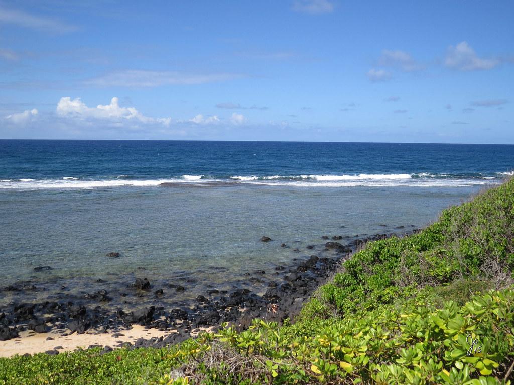 Bright sunny day over a rocky coastline with clear blue ocean and green foliage.