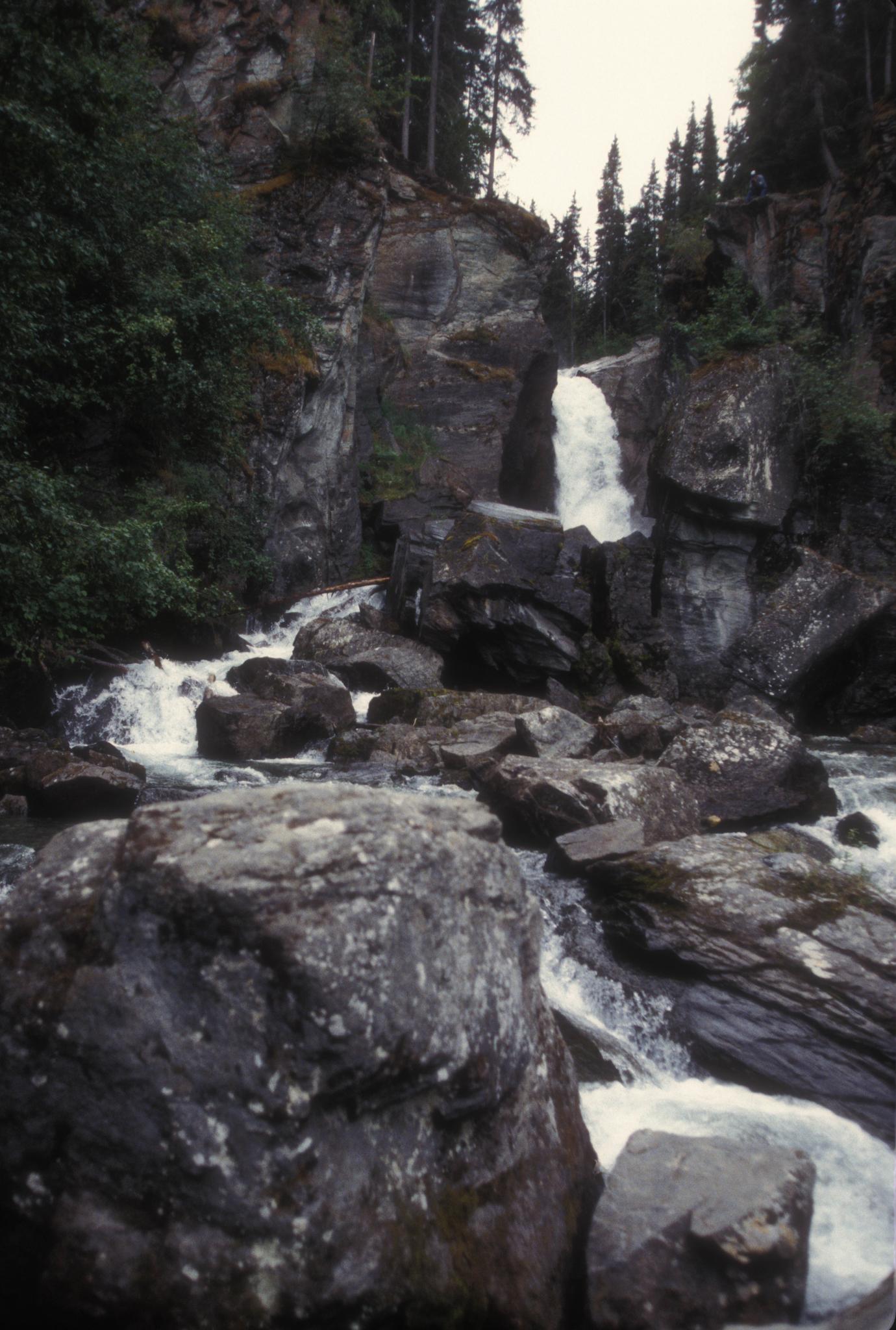 Waterfall cascades over dark rocks into a stream, surrounded by dense forest.