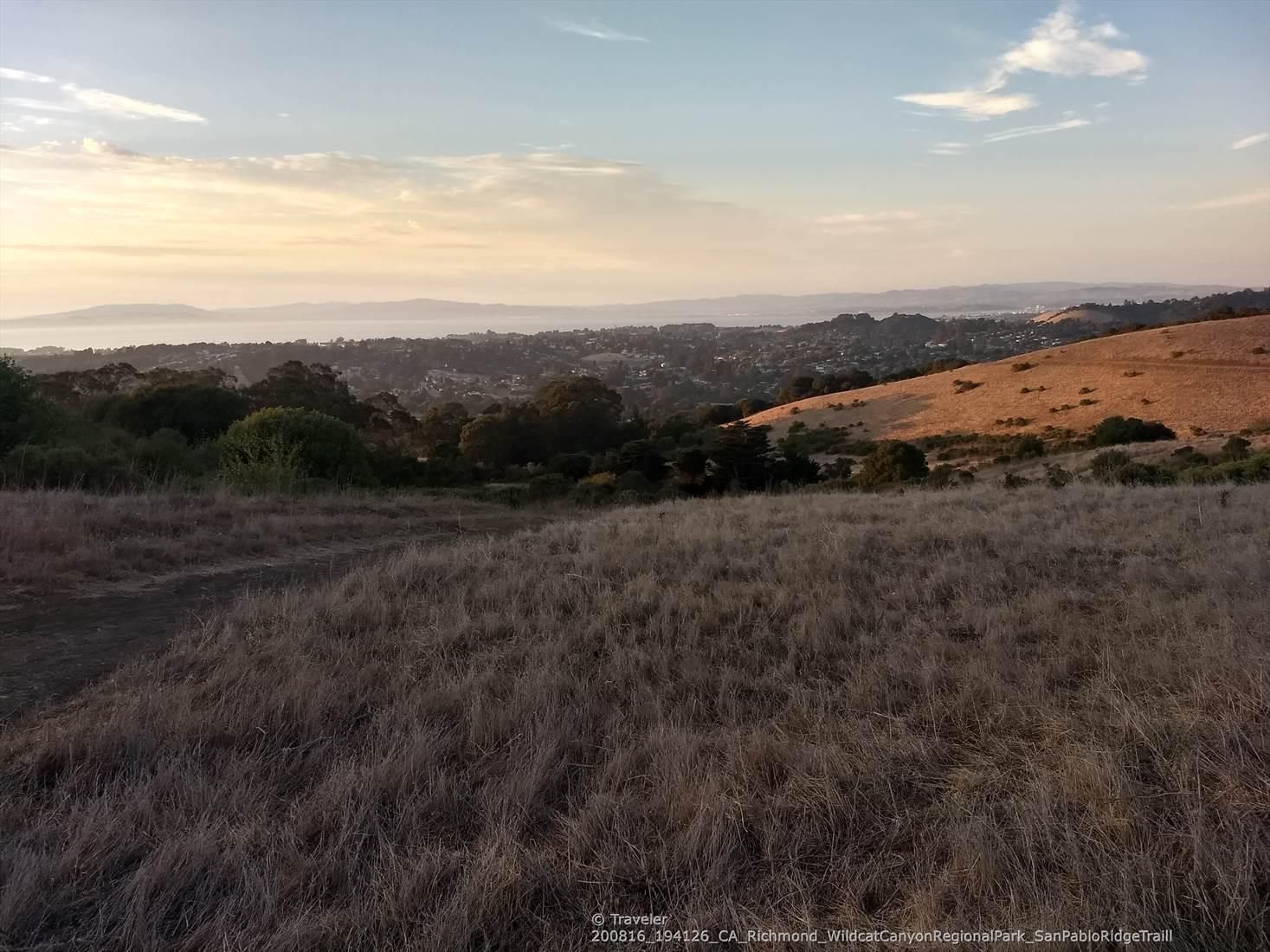 Golden hour light illuminates dry grassy hills overlooking a distant city. - Wildcat Creek, Mezue, San Pablo Ridge and Belgum Loop