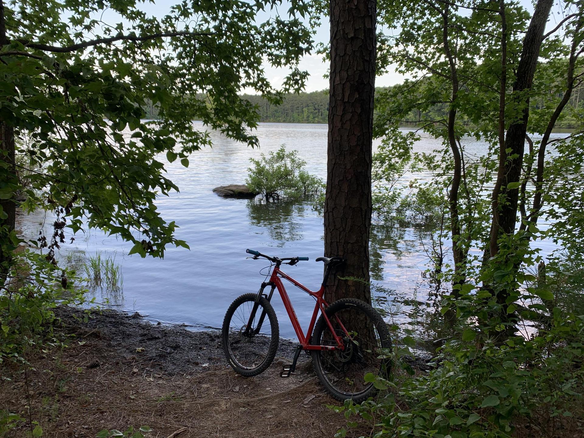 Red bicycle leaning against a tree by a tranquil lake shore.