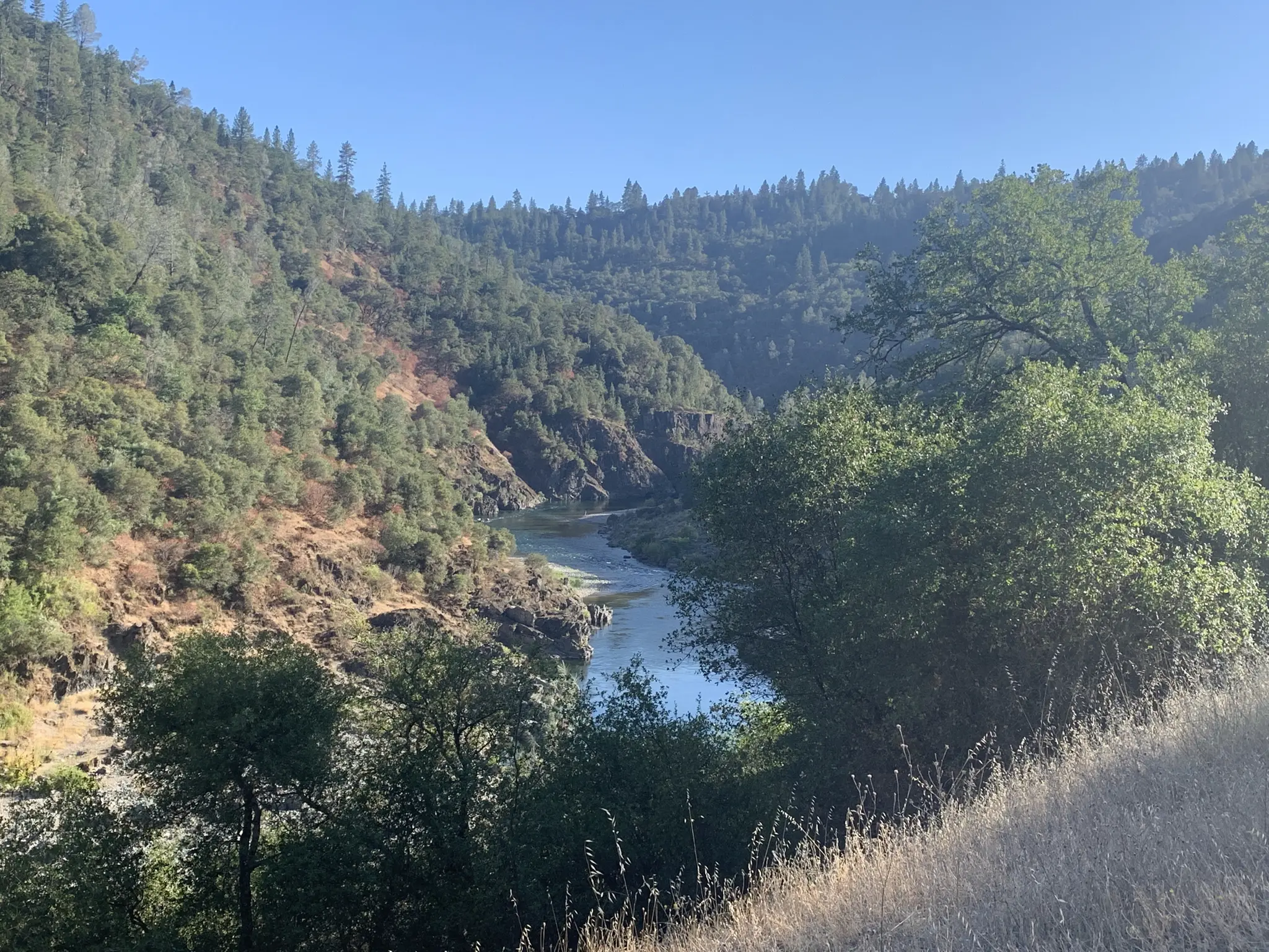 A river winds through a deep, forested canyon under bright daylight.