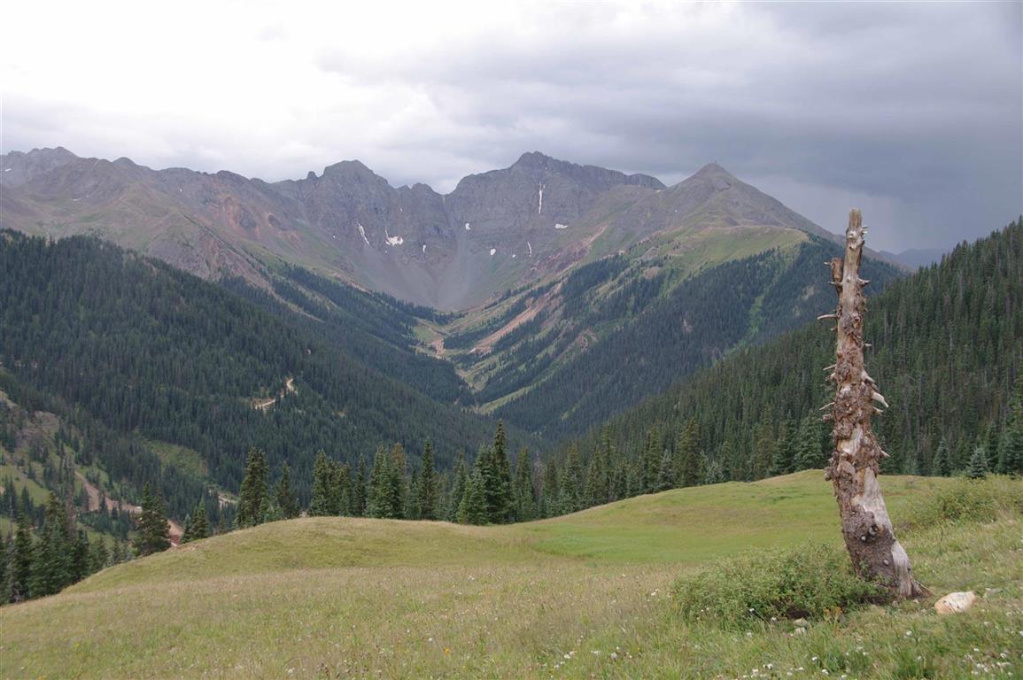Overcast mountain landscape with a dead tree stump and forested slopes.