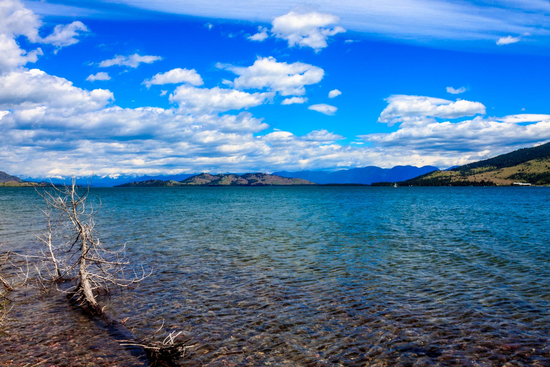Vibrant blue water with driftwood on the shore, mountains under a cloudy sky.