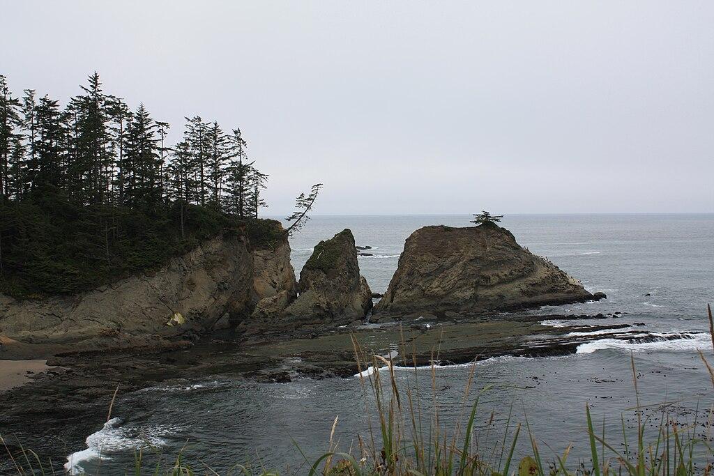 Overcast view of rocky coastline with evergreen trees and sea stacks in calm ocean.
