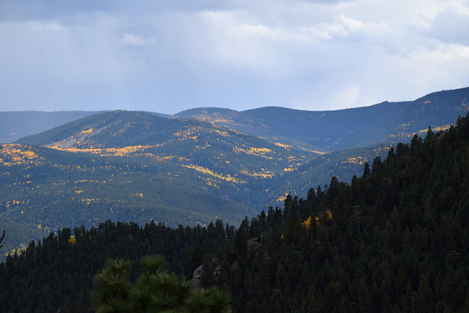Rolling forested mountains with patches of golden autumn trees under cloudy skies.