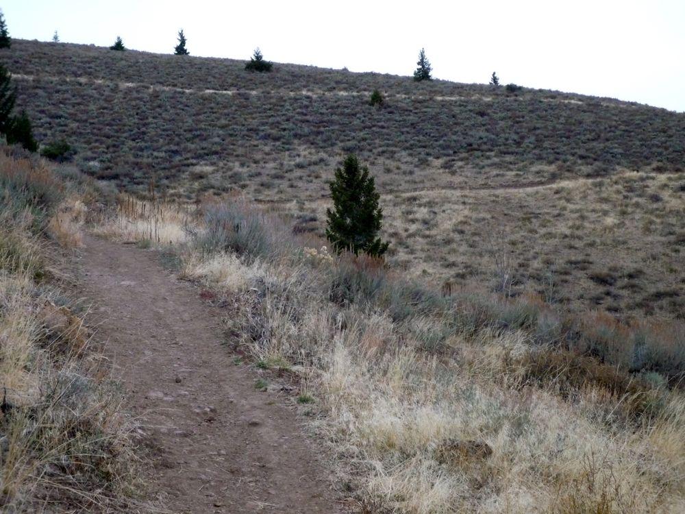 A winding dirt trail ascends a dry, grassy hillside under muted light.