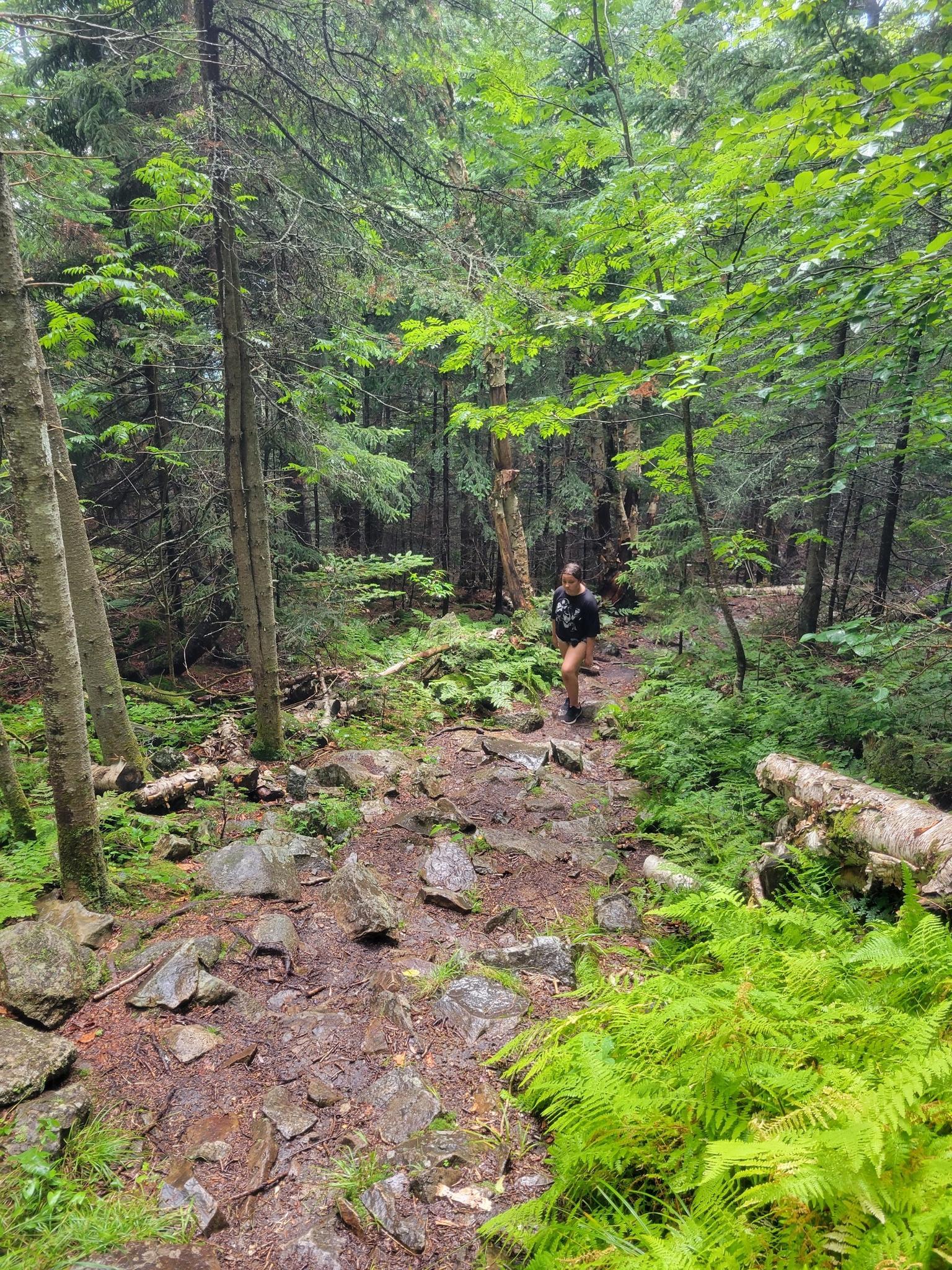 Person hiking on a rocky, muddy forest trail with lush green ferns.