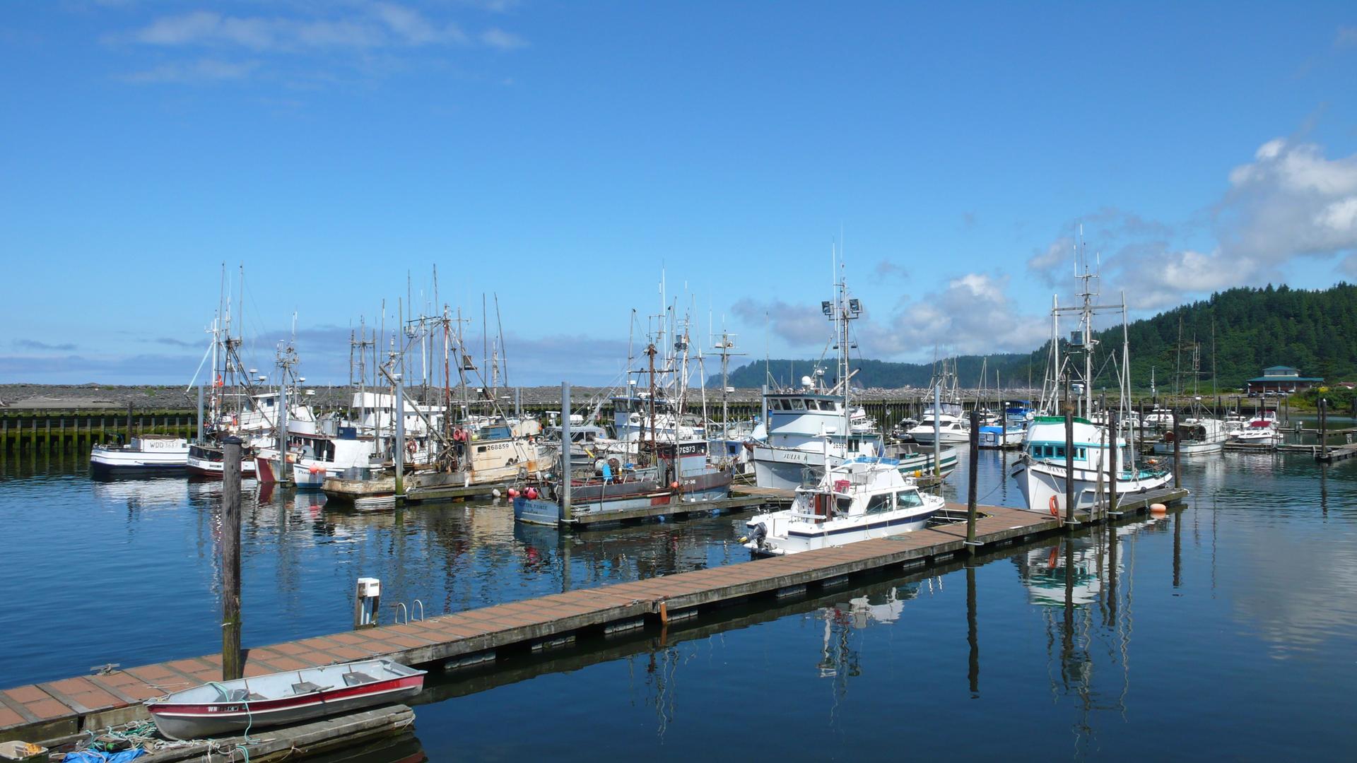 Numerous fishing boats docked in a marina under a clear blue sky.