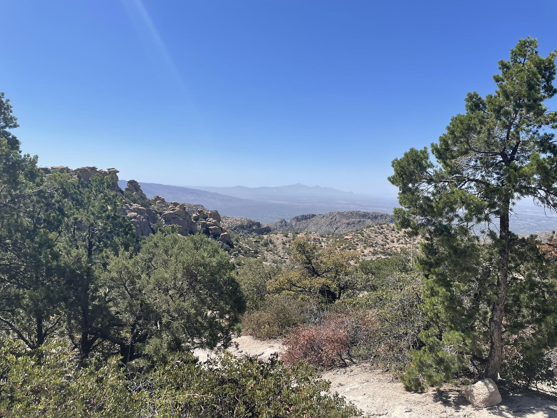 Sunny mountain vista with green trees and hazy distant peaks.