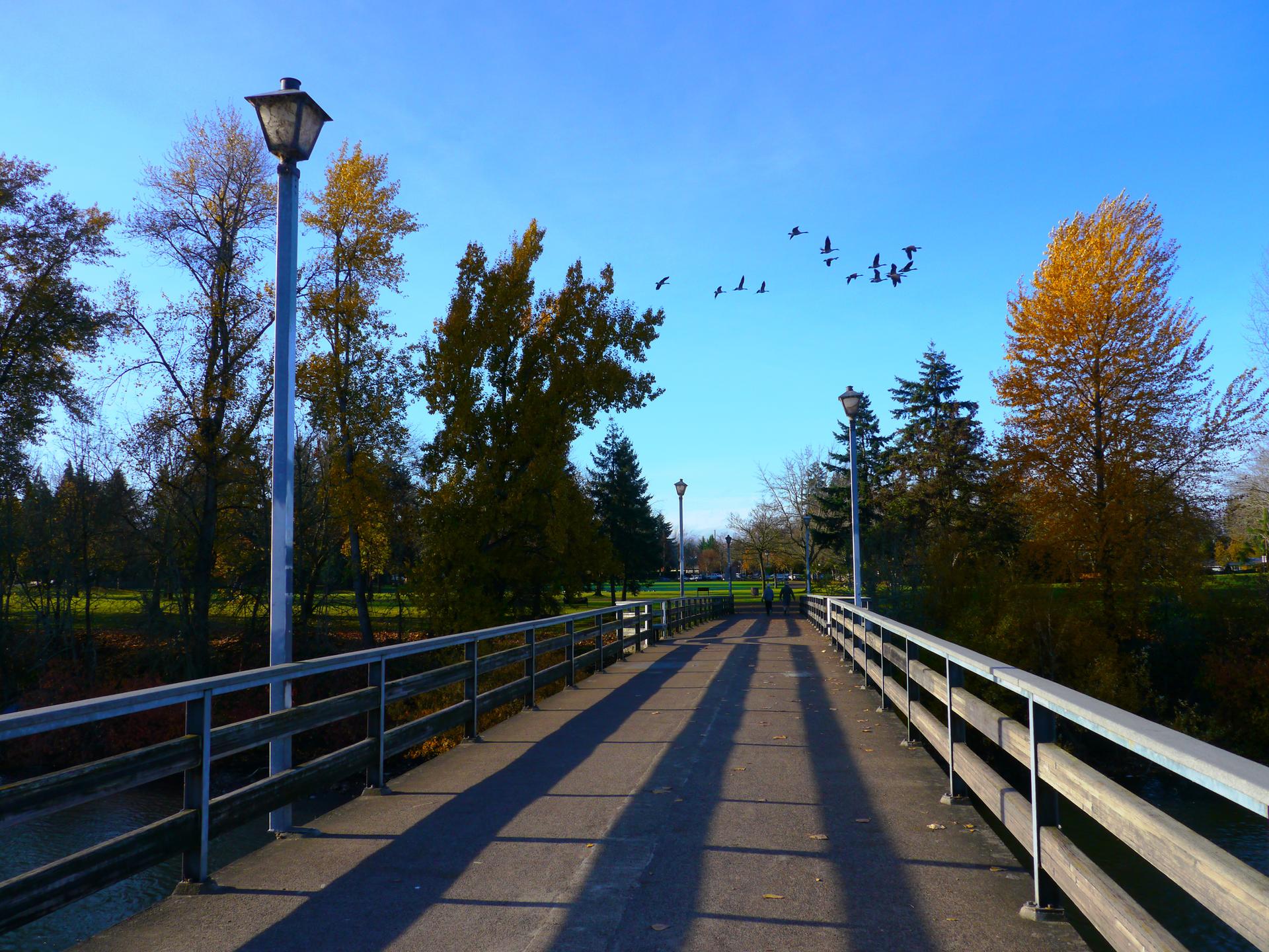 Sunny pedestrian bridge with lampposts and flying birds against a blue sky.