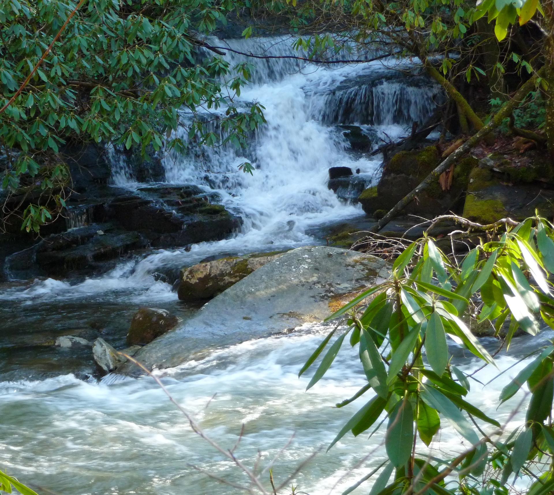Rushing waterfall over dark rocks, surrounded by vibrant green leaves in bright light.