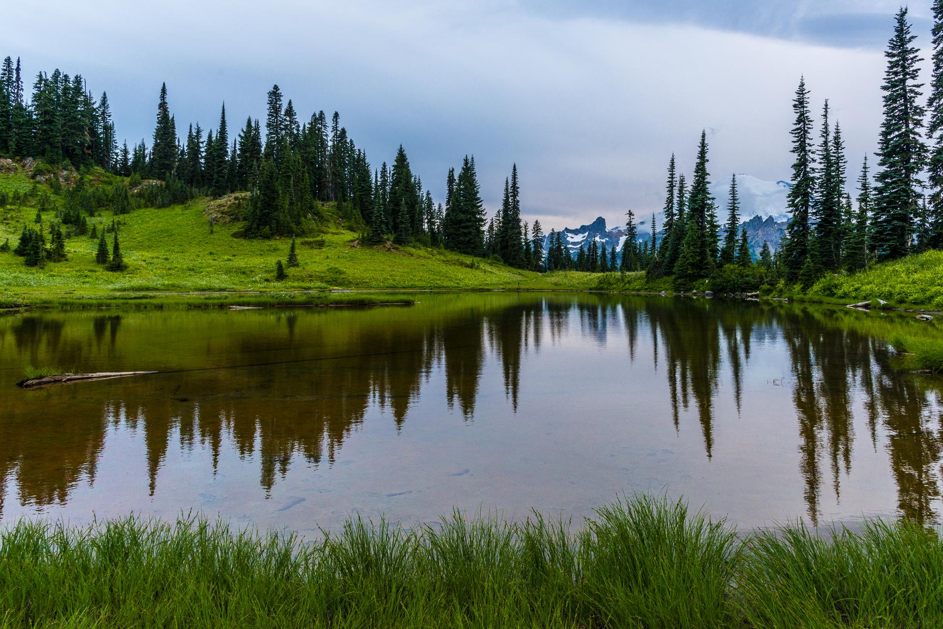 Lake reflecting pine trees and distant mountains under a cloudy sky.