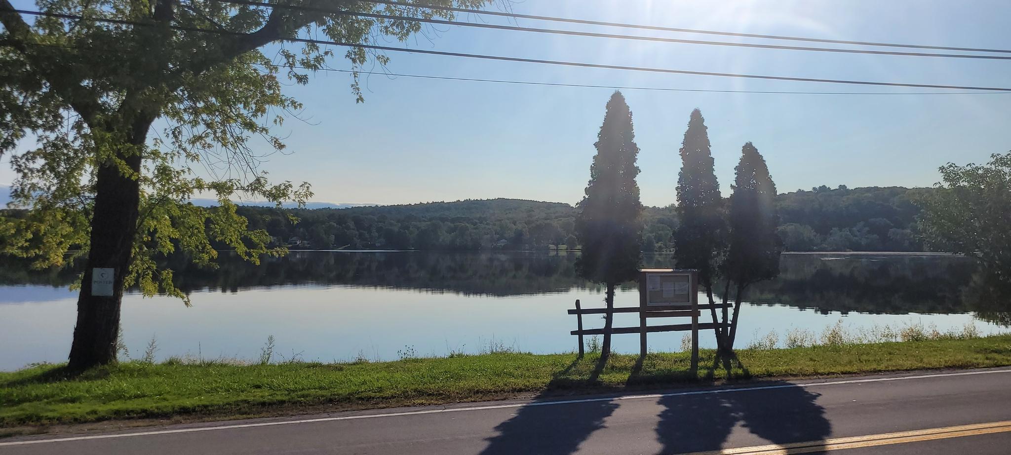 Sunny lake reflecting trees, with a road and bench in the foreground.