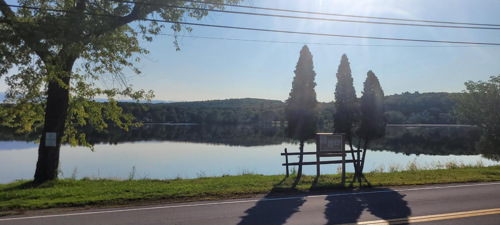 Sunny lake reflecting trees, with a road and bench in the foreground.