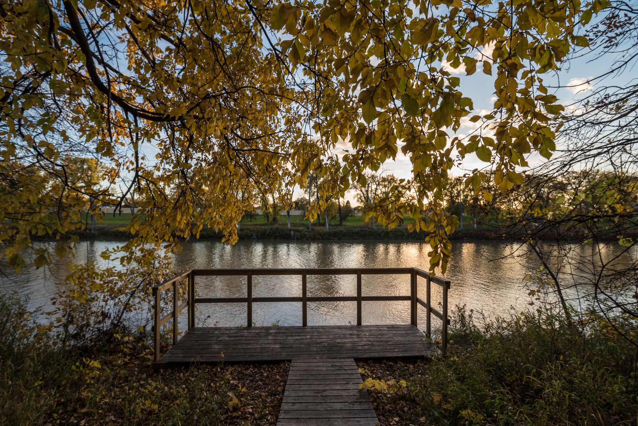 A wooden platform overlooks a calm river, framed by golden autumn leaves.