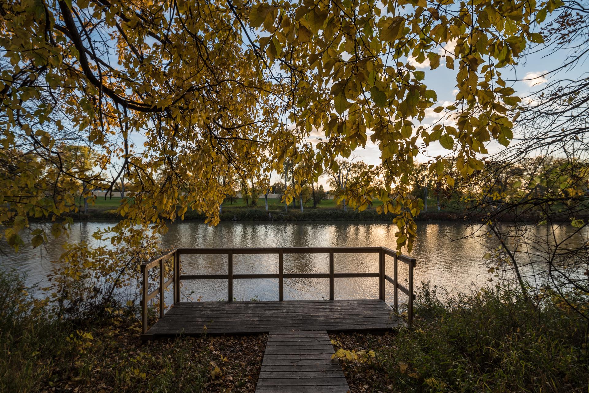 A wooden platform overlooks a calm river, framed by golden autumn leaves.
