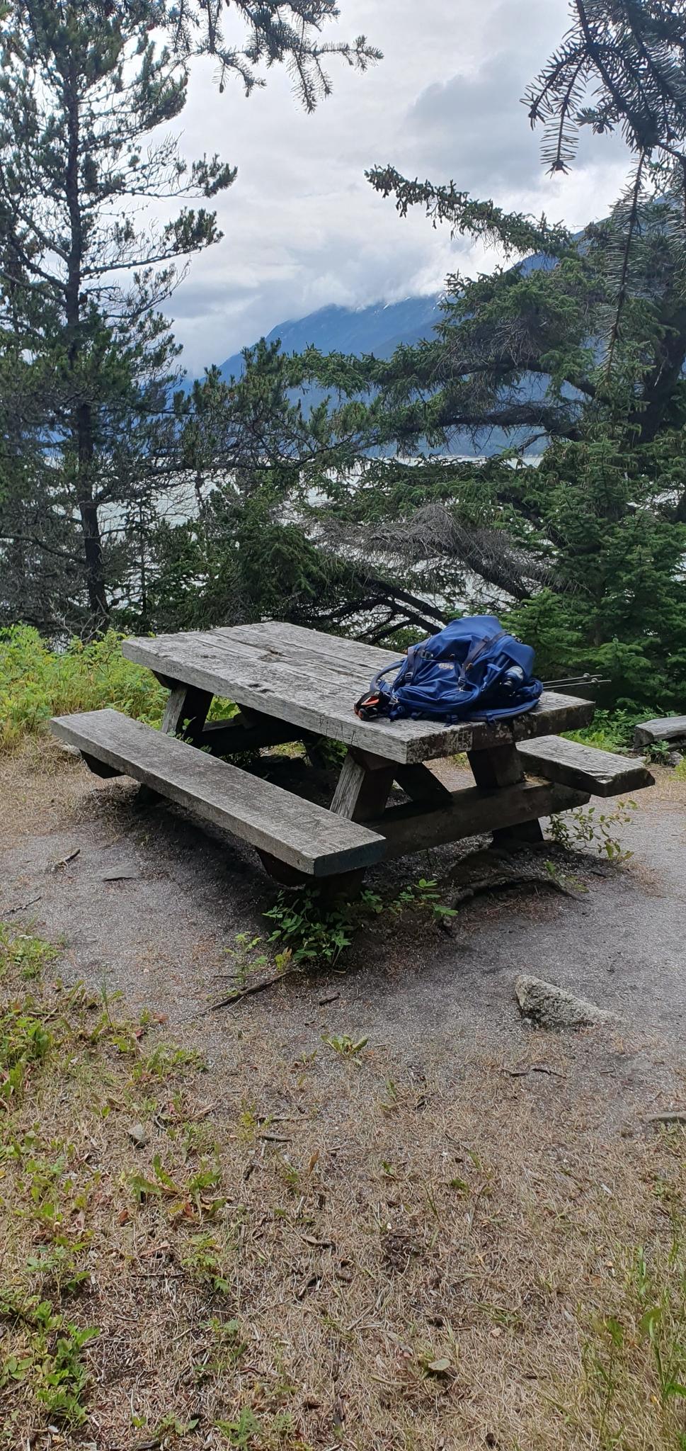Wooden picnic table with a blue backpack, surrounded by trees under cloudy sky.