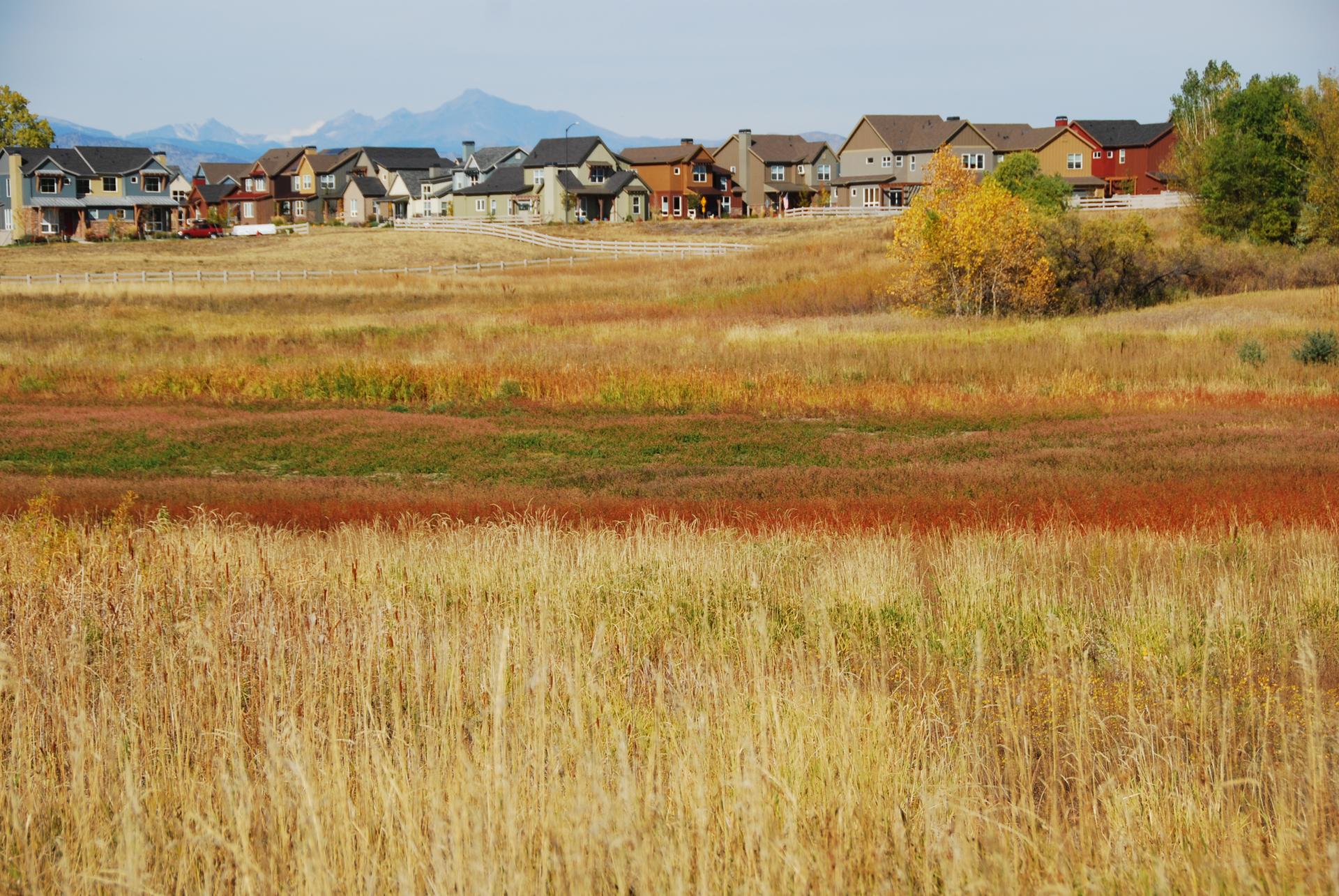 Autumn fields with golden and red grasses, houses on a distant hill.