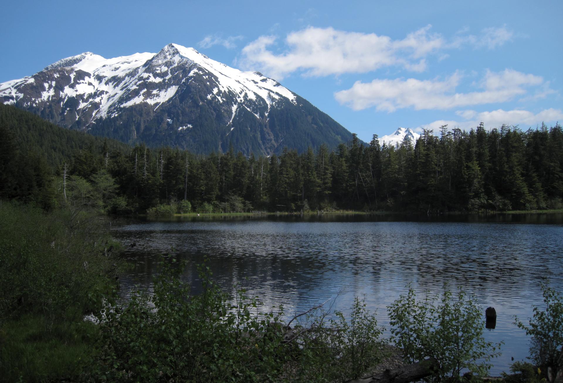 Sunny lake reflecting a large snow-capped mountain and green forest.