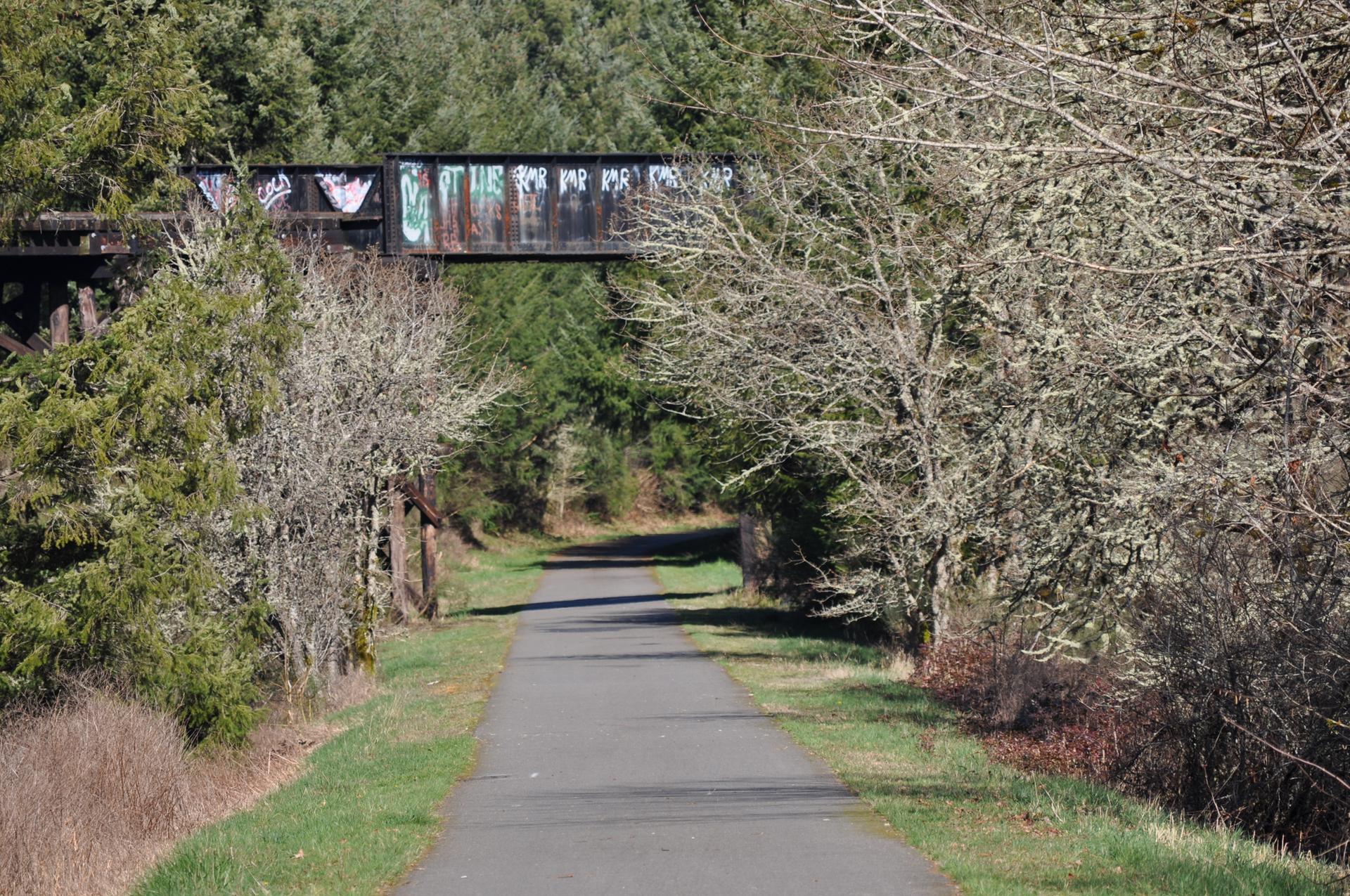 Paved path under a graffiti-covered metal bridge in a dense forest.