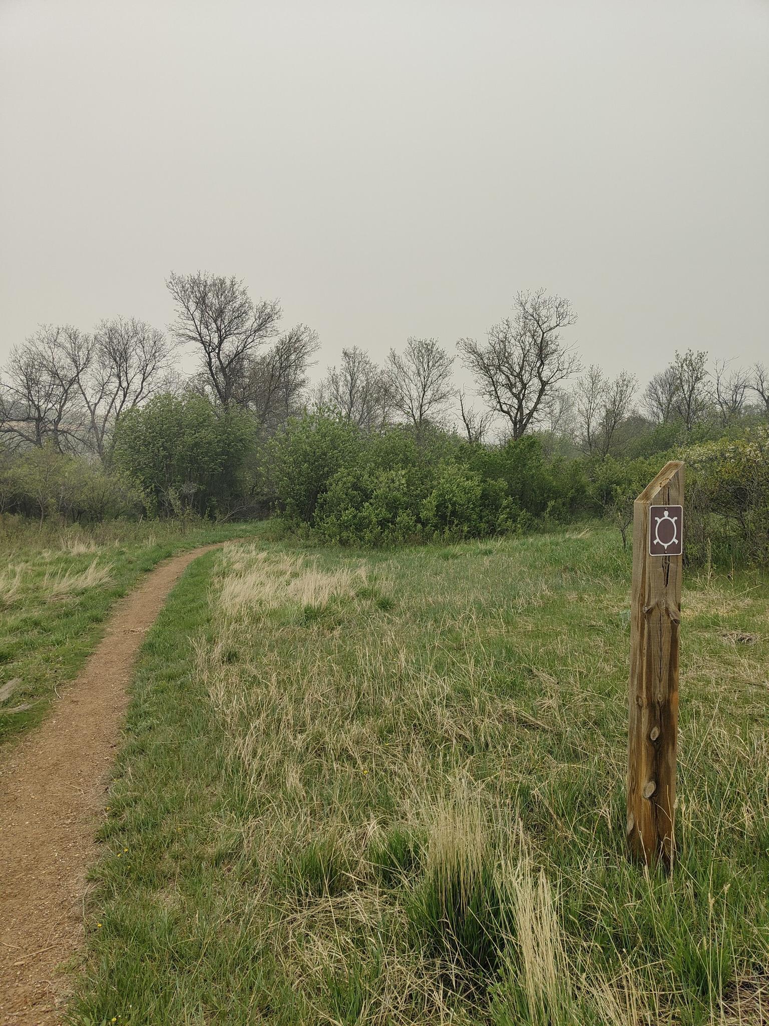 A dirt path winds through a grassy field under an overcast sky.