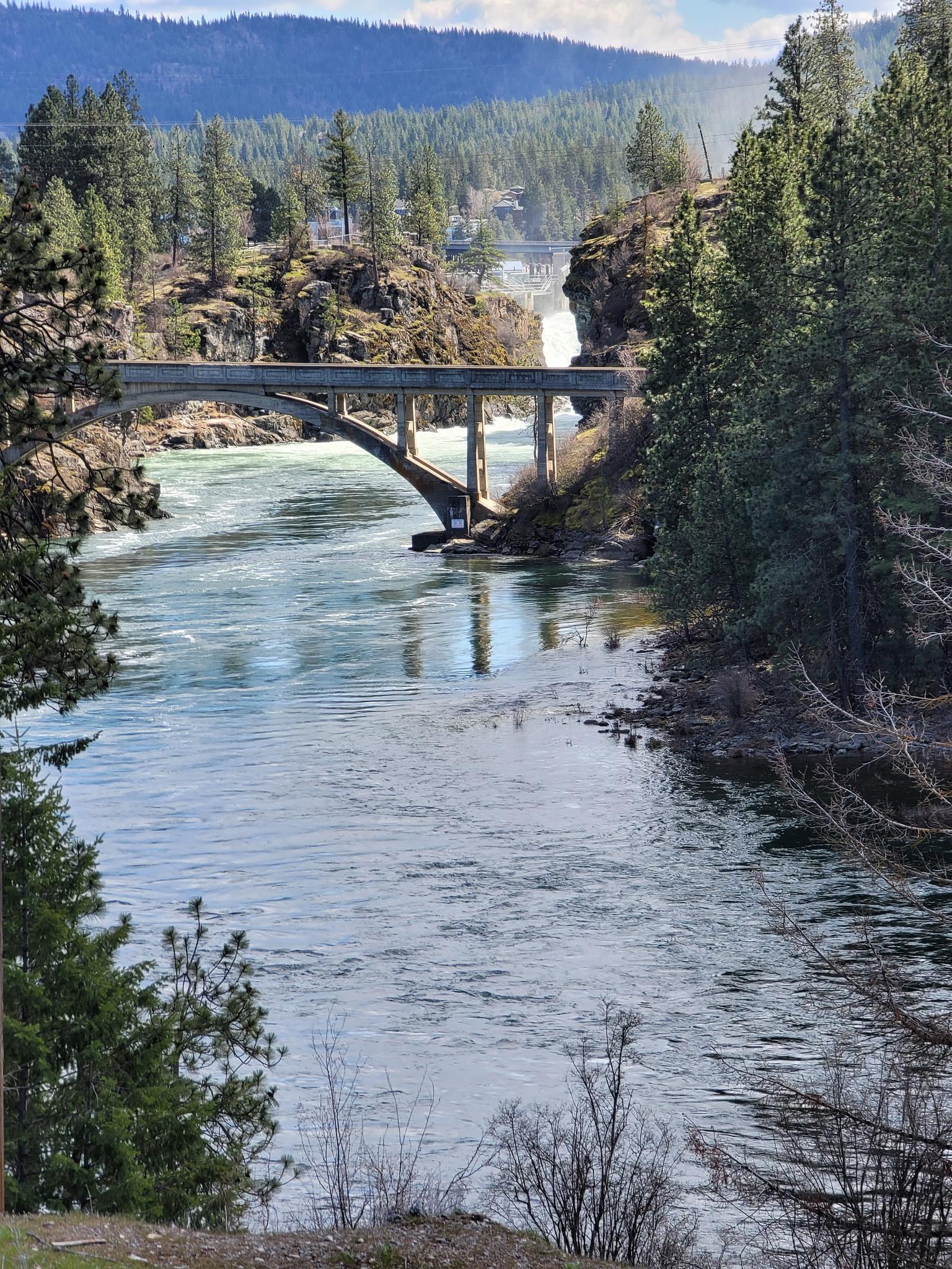 Wide river flowing under a concrete bridge, surrounded by pine trees and hills.
