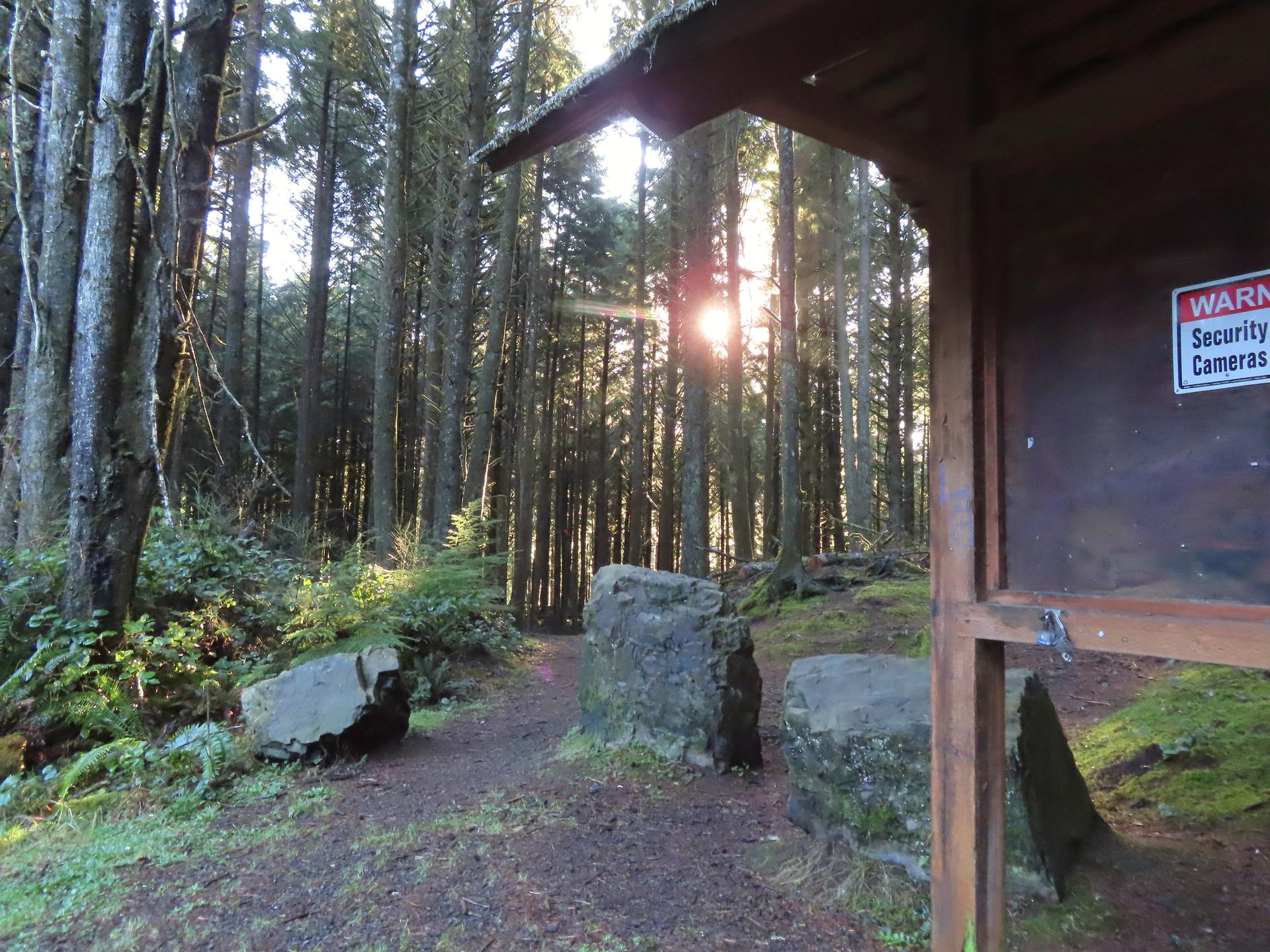 Sunbeams pierce tall forest trees near a wooden structure and large rocks.