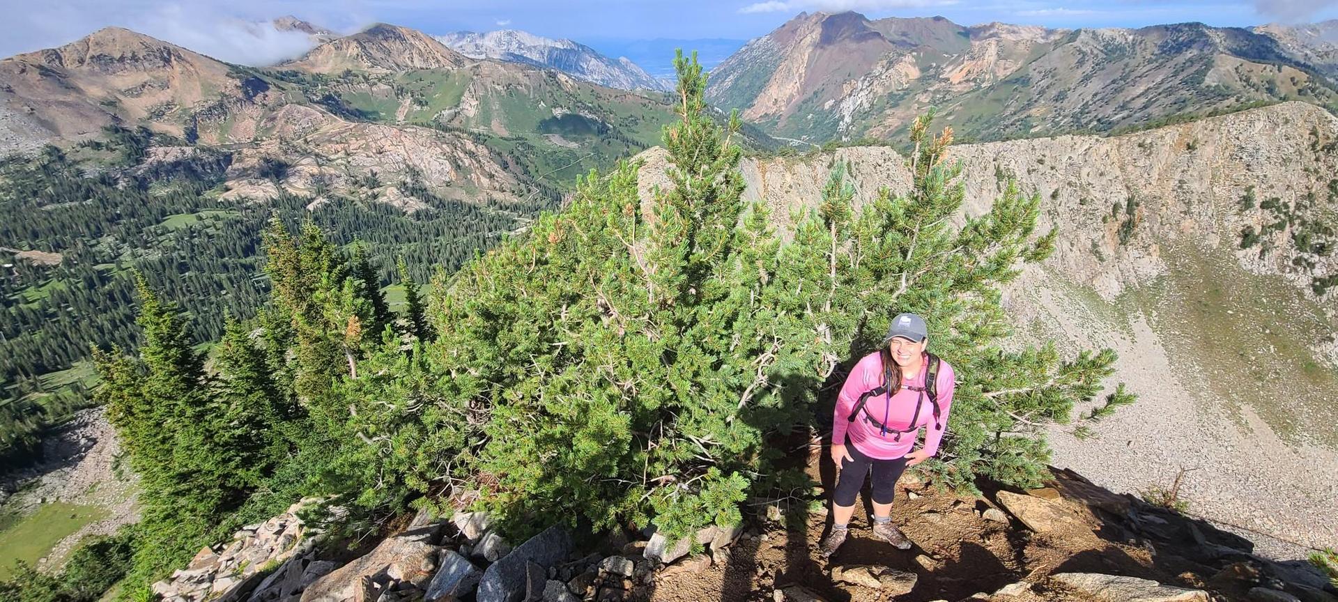 A hiker in pink stands on a rocky peak overlooking mountains.