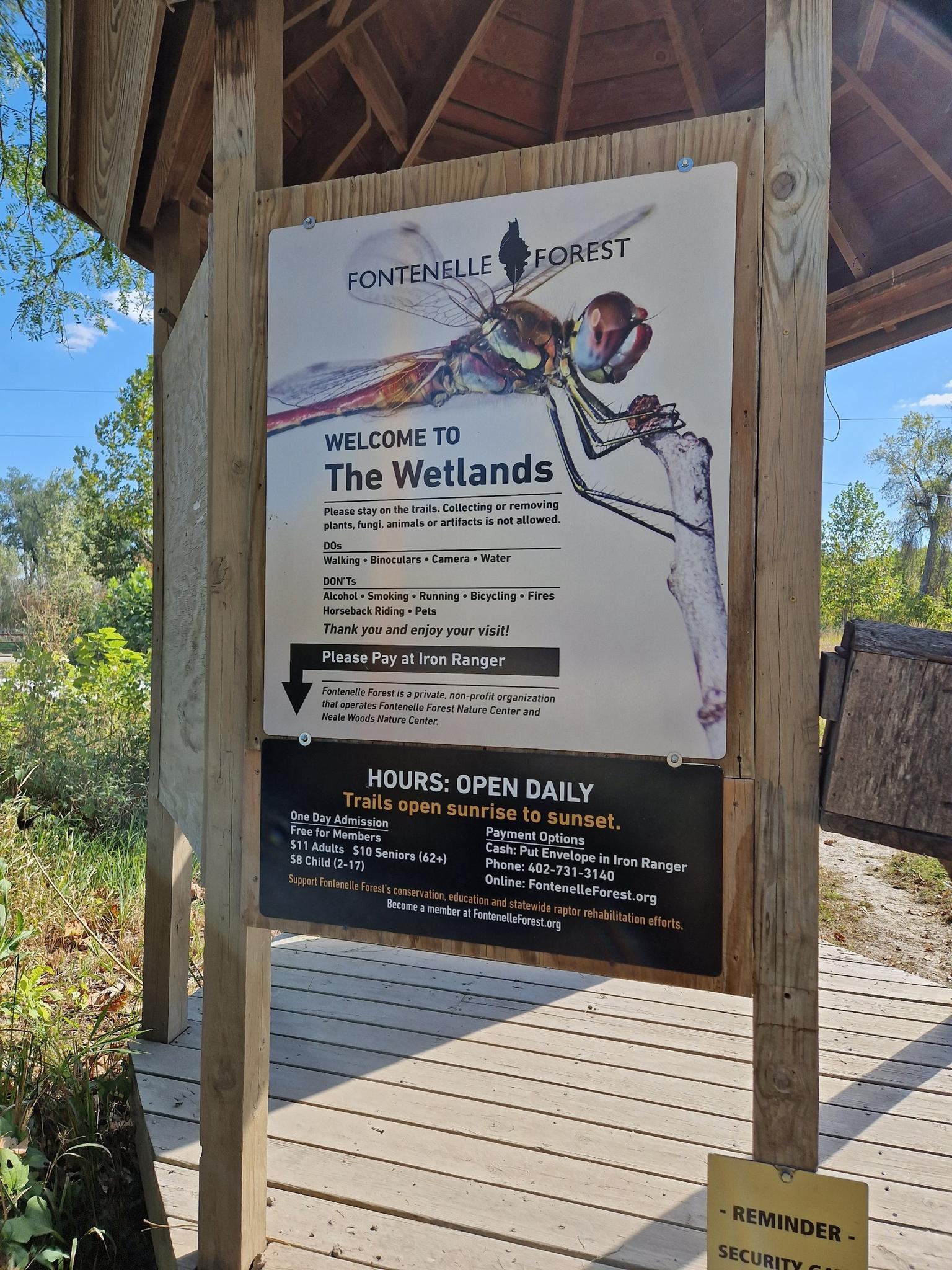 A wooden sign with a dragonfly graphic, welcoming visitors to "The Wetlands".