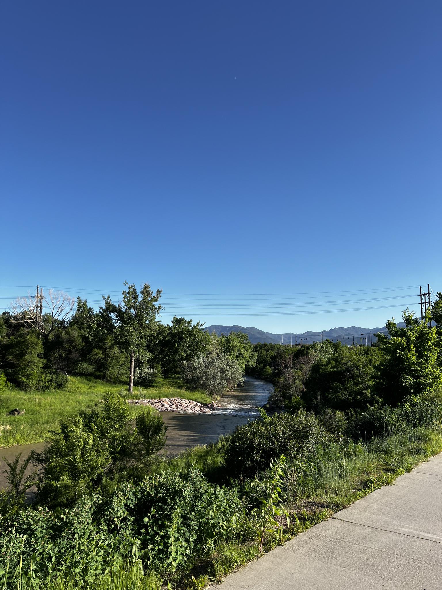 A winding river flows through green trees with distant mountains under clear sky.