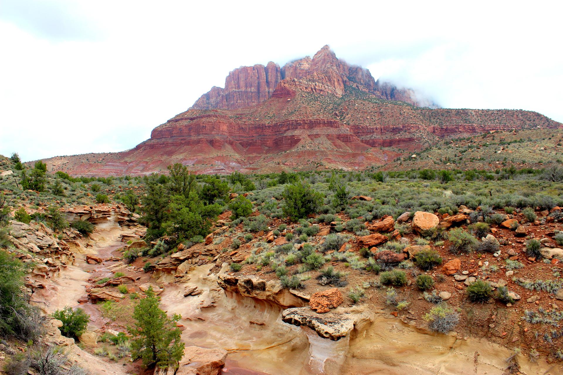 Majestic red rock mountain dominates a cloudy desert landscape with green shrubs.