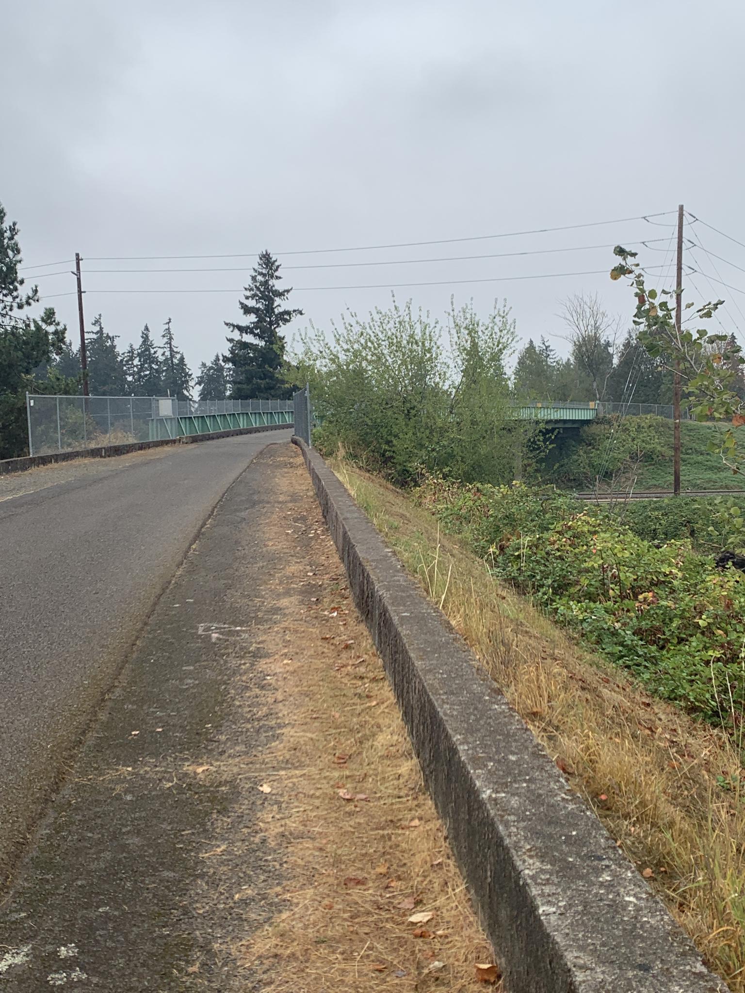 Paved road and concrete barrier beside brush, with a green bridge in distance.