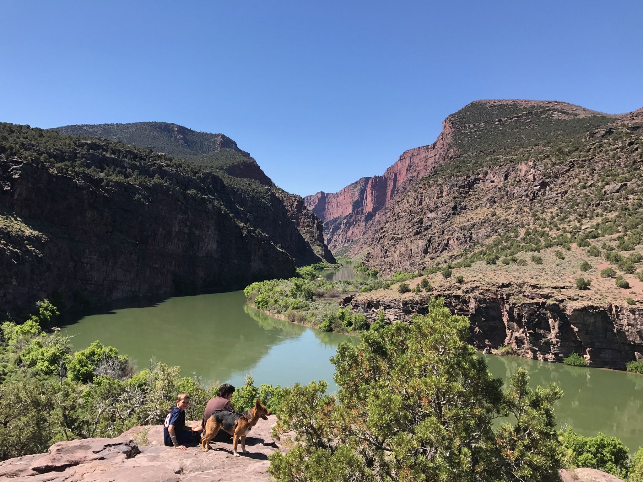 Person and dog on a cliff overlooking a green river in a sunny canyon. - Gates of Lodore Trail – Dinosaur National Monument