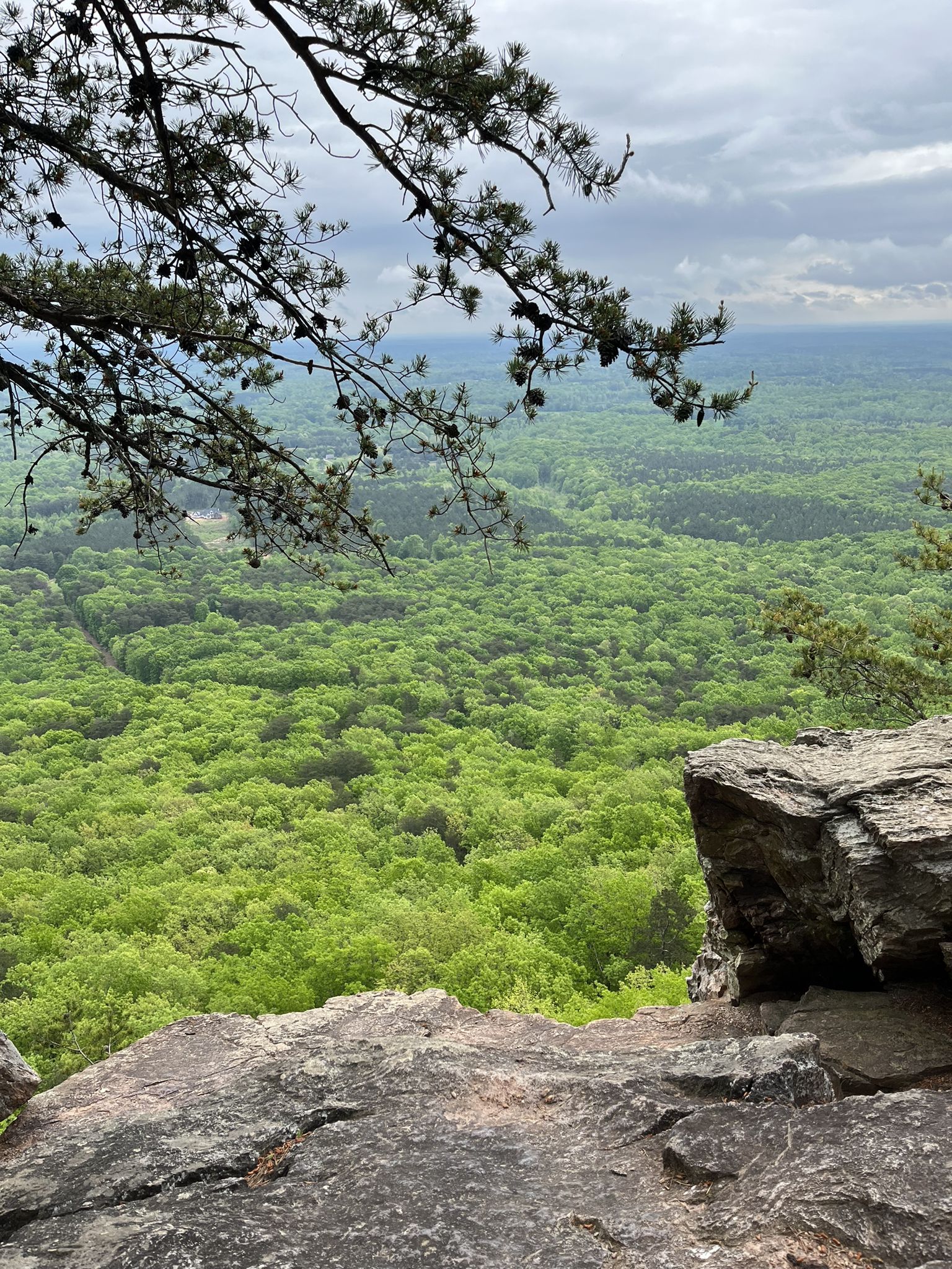 View from a rocky cliff overlooking a dense, vibrant green forest under a cloudy sky. - Rocktop and Backside Loop