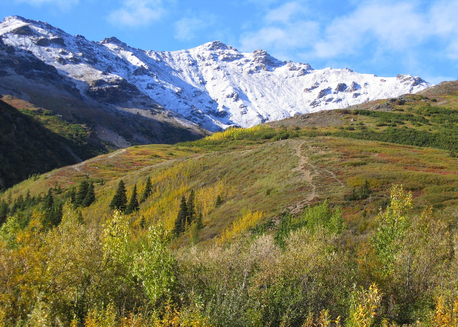 Bright autumn mountains with snowy peaks, golden trees, and a faint path under blue sky.