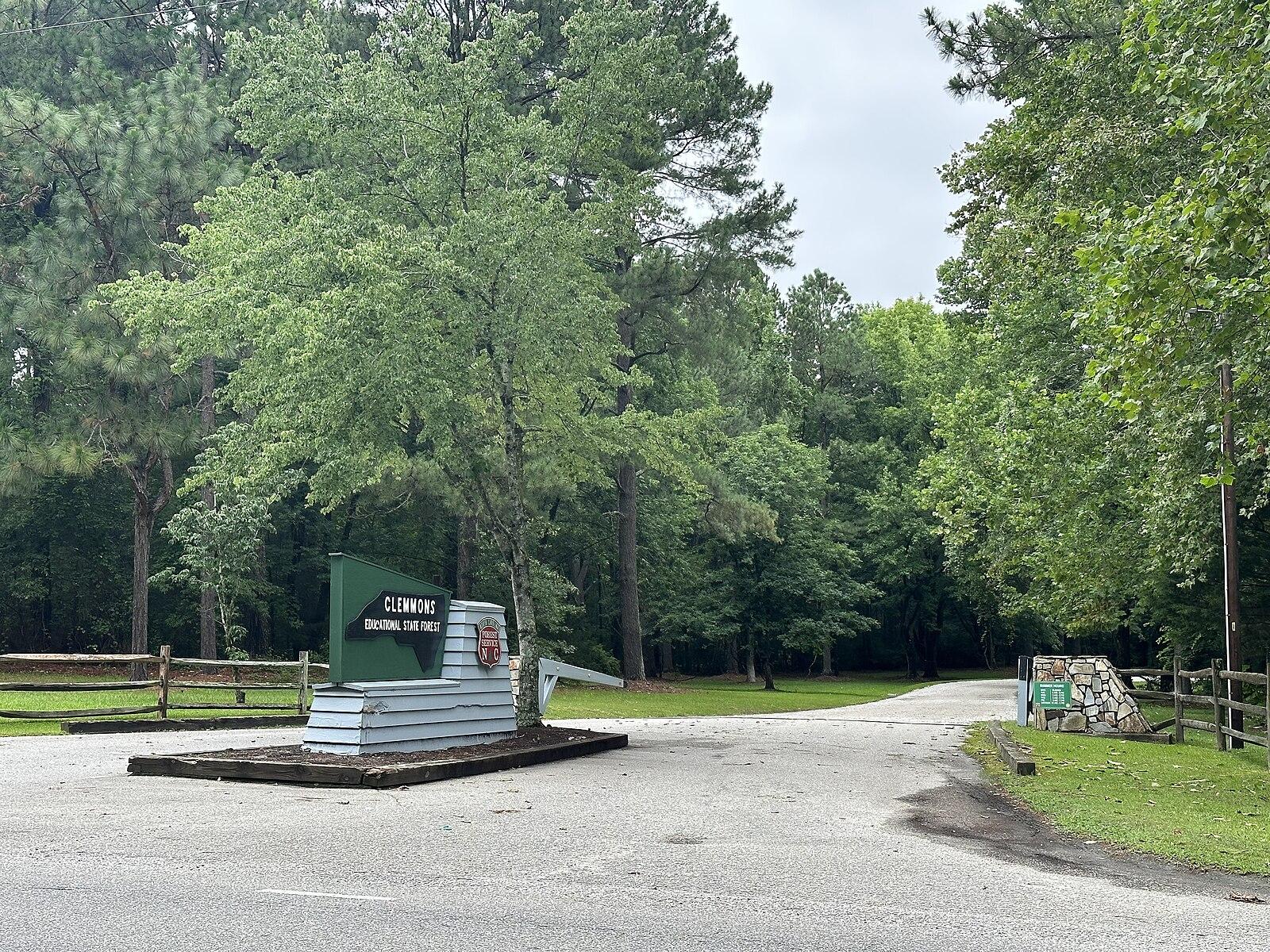 Entrance sign on an asphalt road leading into a dense, green forest under overcast skies.
