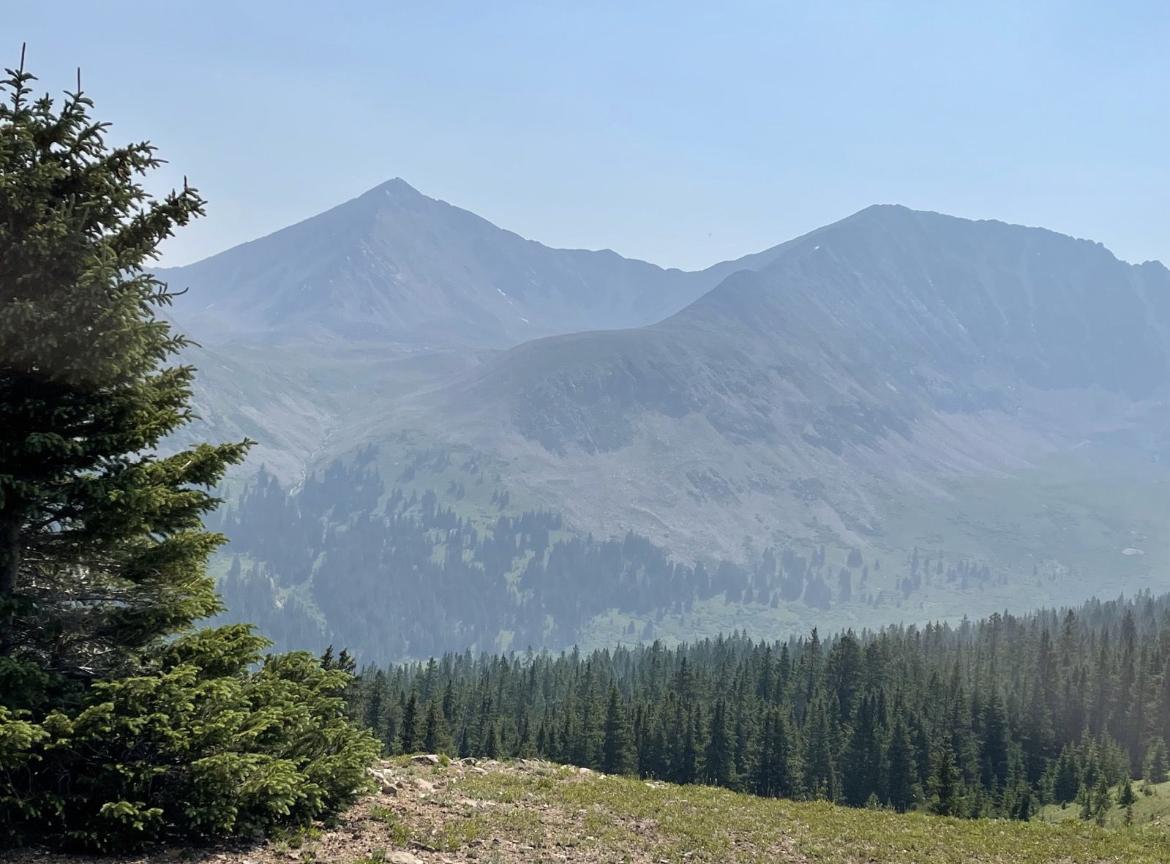 Hazy mountain peaks rise above a dense pine forest on a bright day.