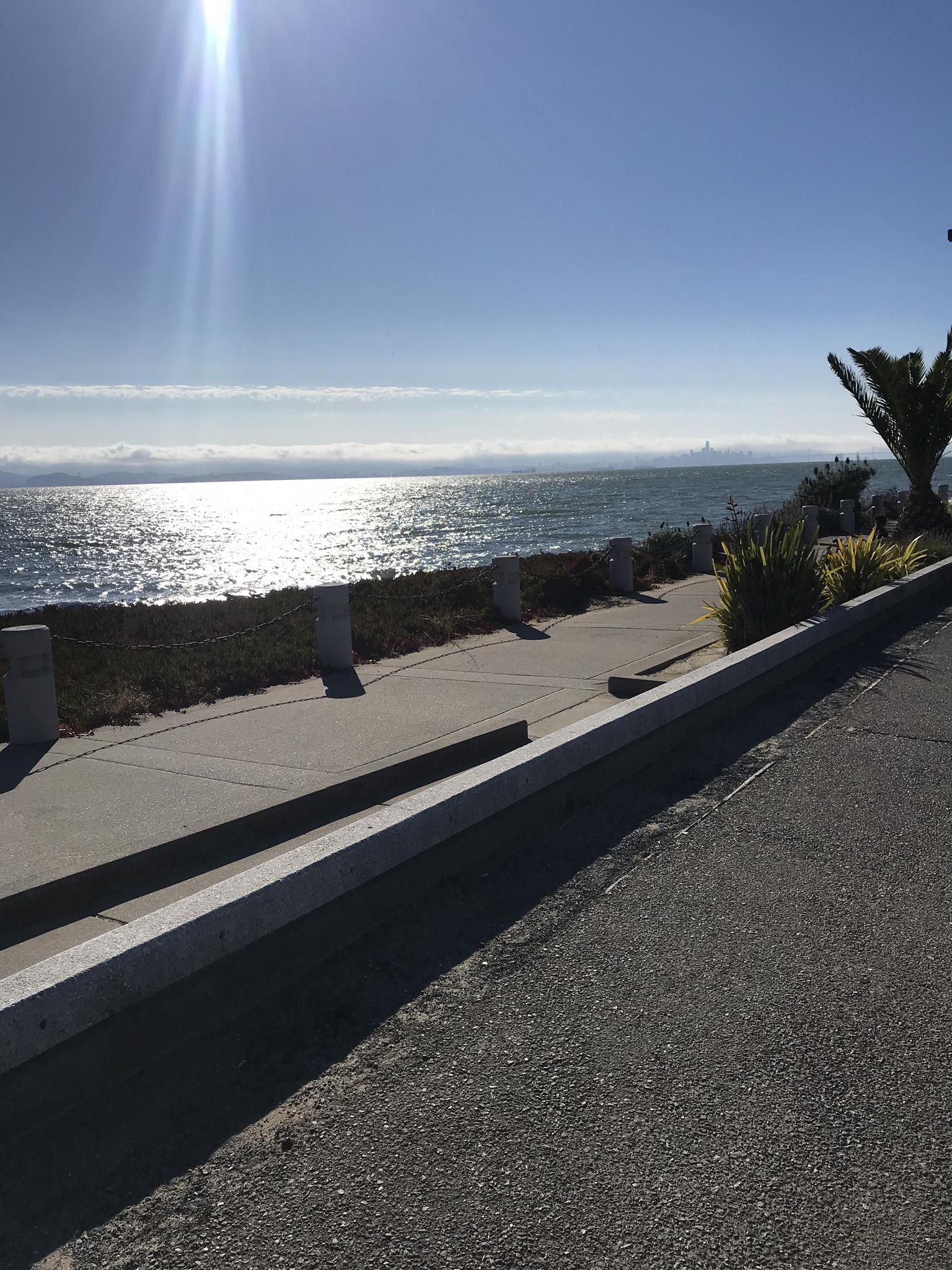 Bright sun glares on sparkling ocean next to a paved path. - San Francisco Bay Trail