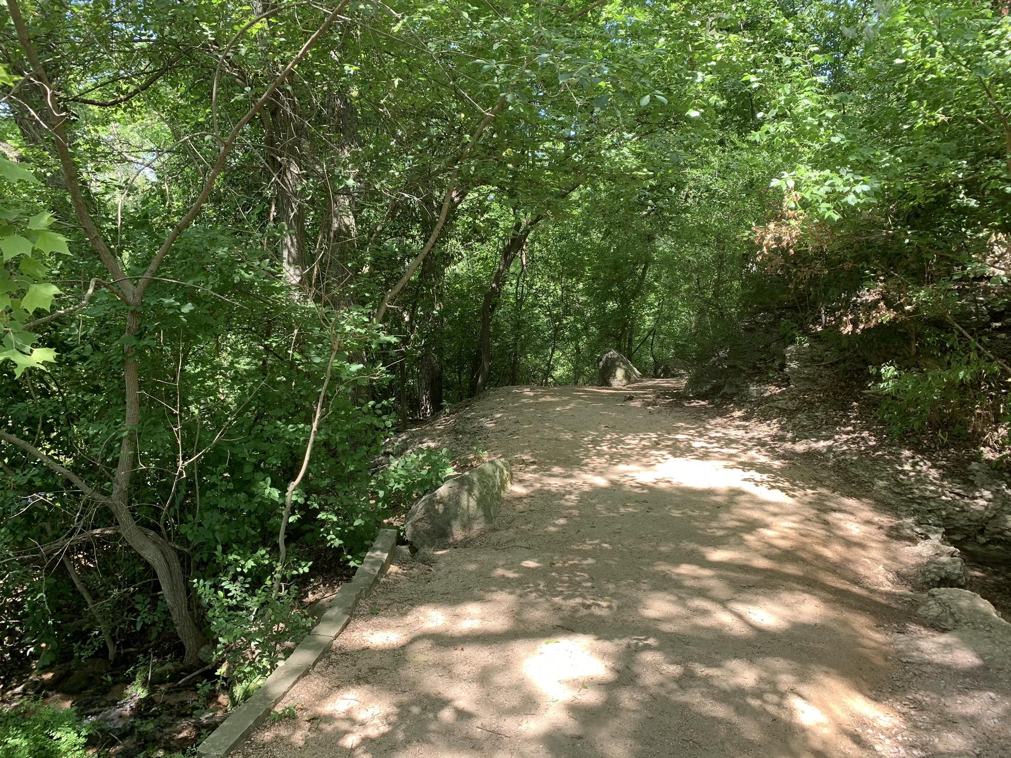 A sun-dappled dirt path winds through a dense green forest. - Booty's Road Park Trail loop from Georgetown