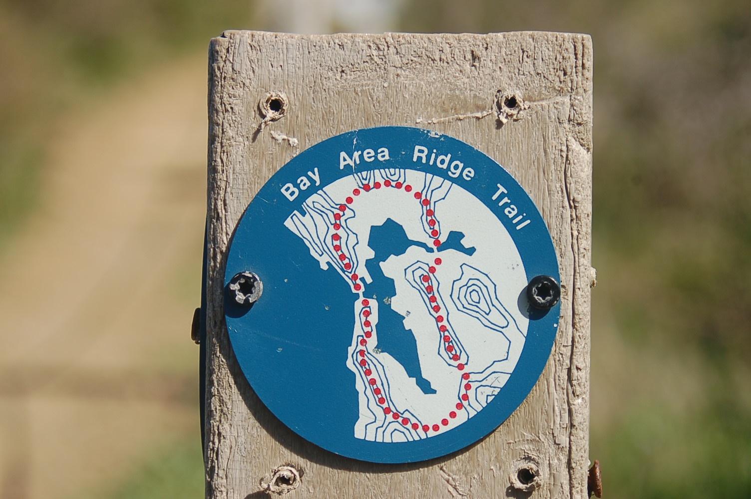 Close-up of a blue and white circular trail marker on wood.