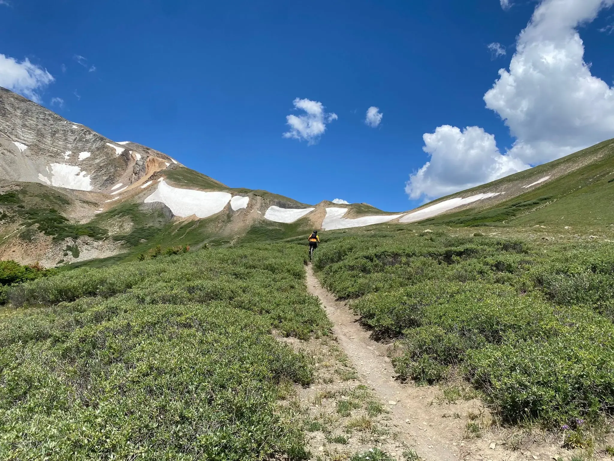 Hiker on a sunny mountain trail surrounded by green shrubs and snow patches.