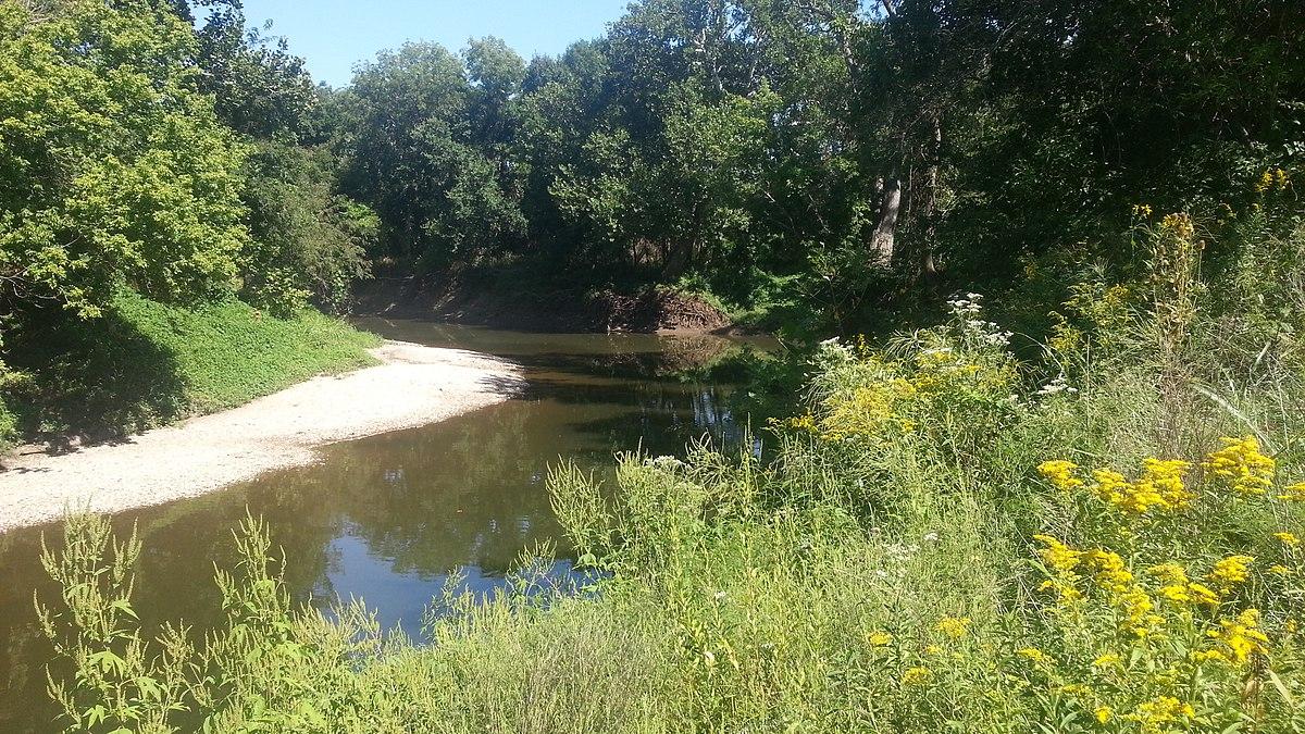 A winding river with a sandy bank, surrounded by lush green trees and wildflowers.