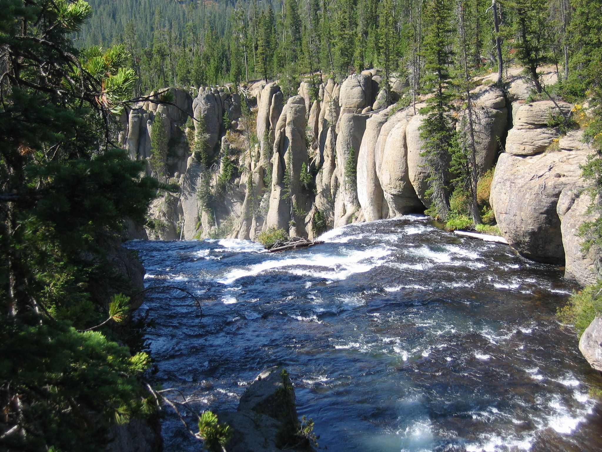 Rushing river flows past tall rocky cliffs and dense pine forest. - Terraced Falls Trail