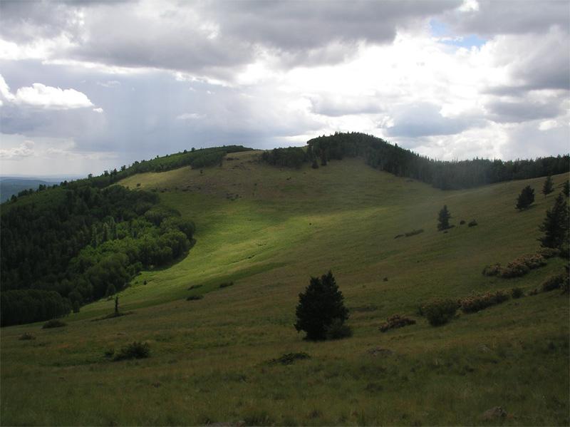 Sunlight illuminates grassy rolling hills and dark forests under a cloudy sky.